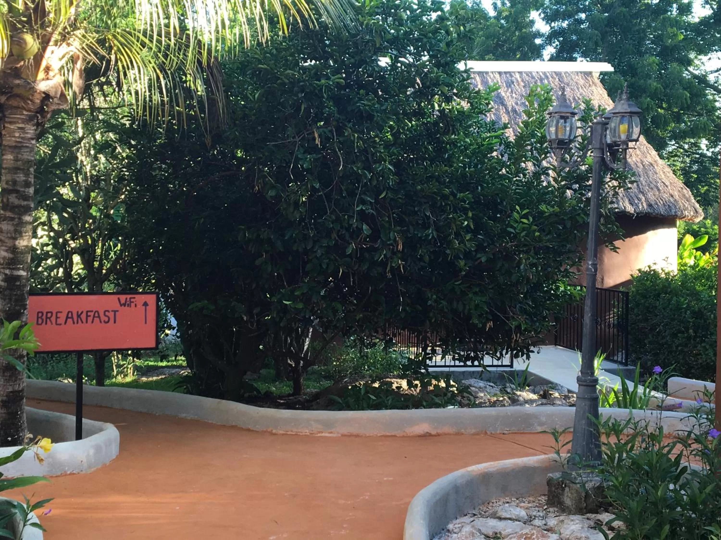 Summer in The Pickled Onion Eco-Boutique B&B