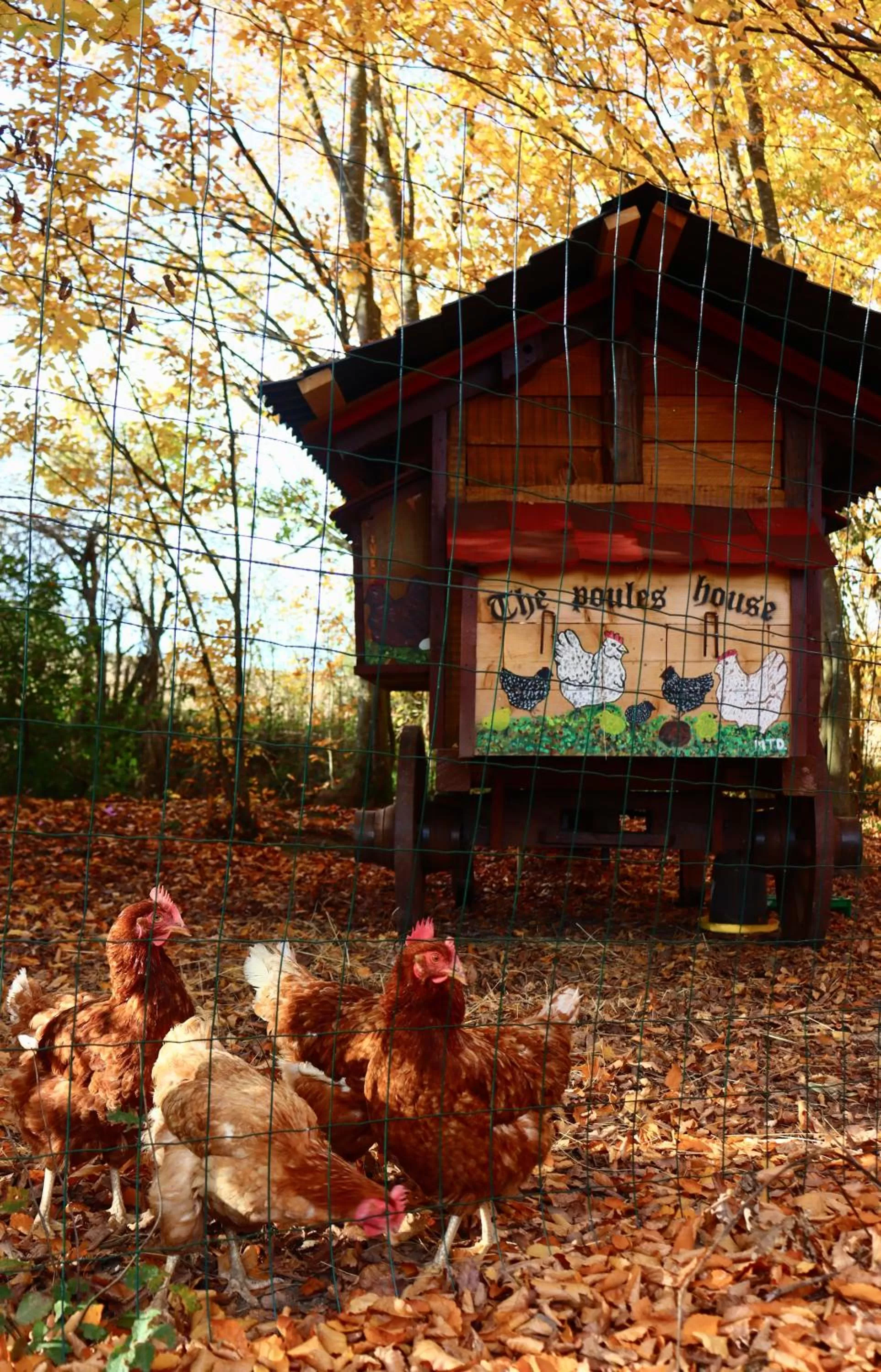 Maison D'hôtes Sainte-Marie