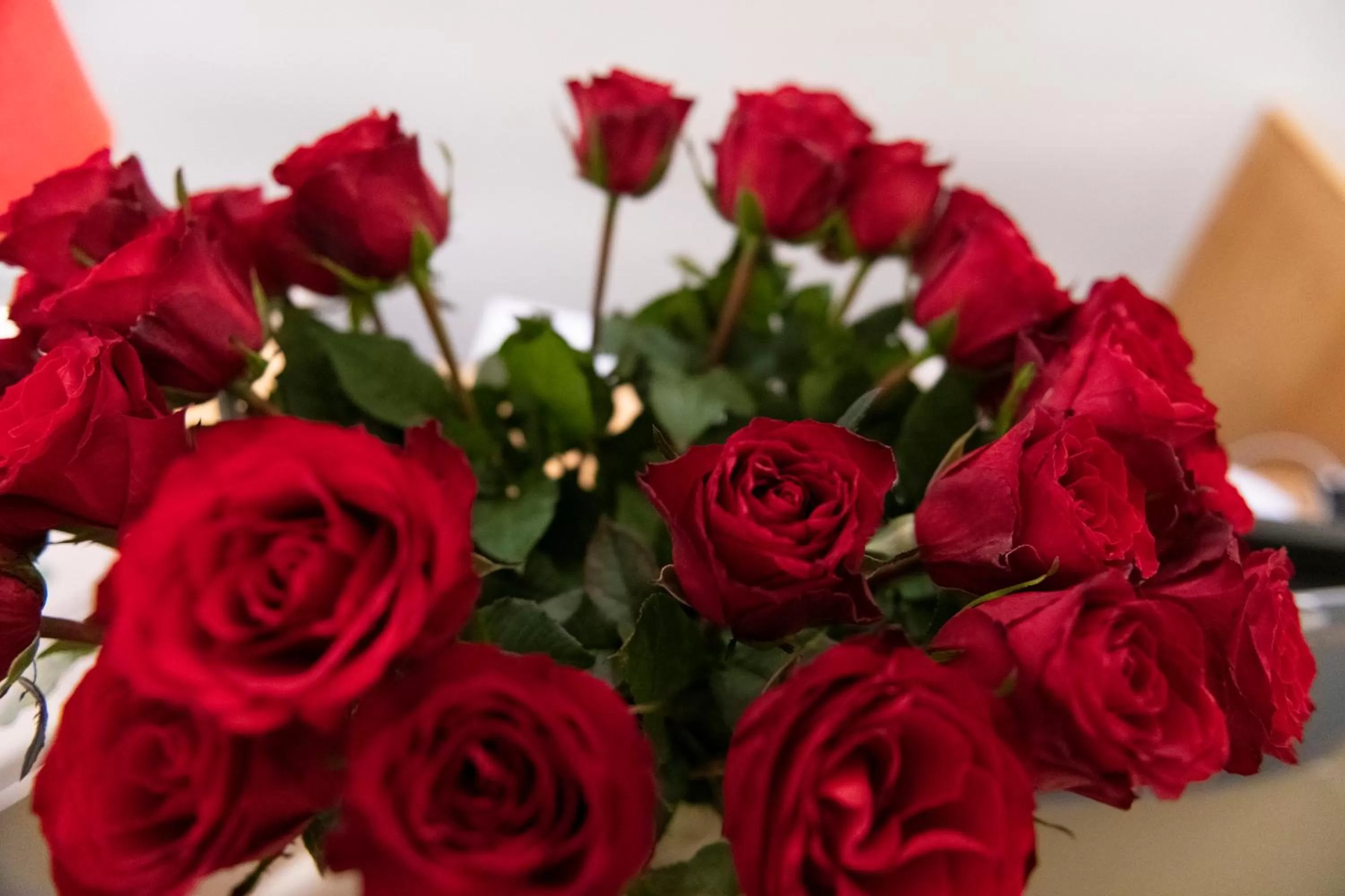 Decorative detail in Eccelso Hotel