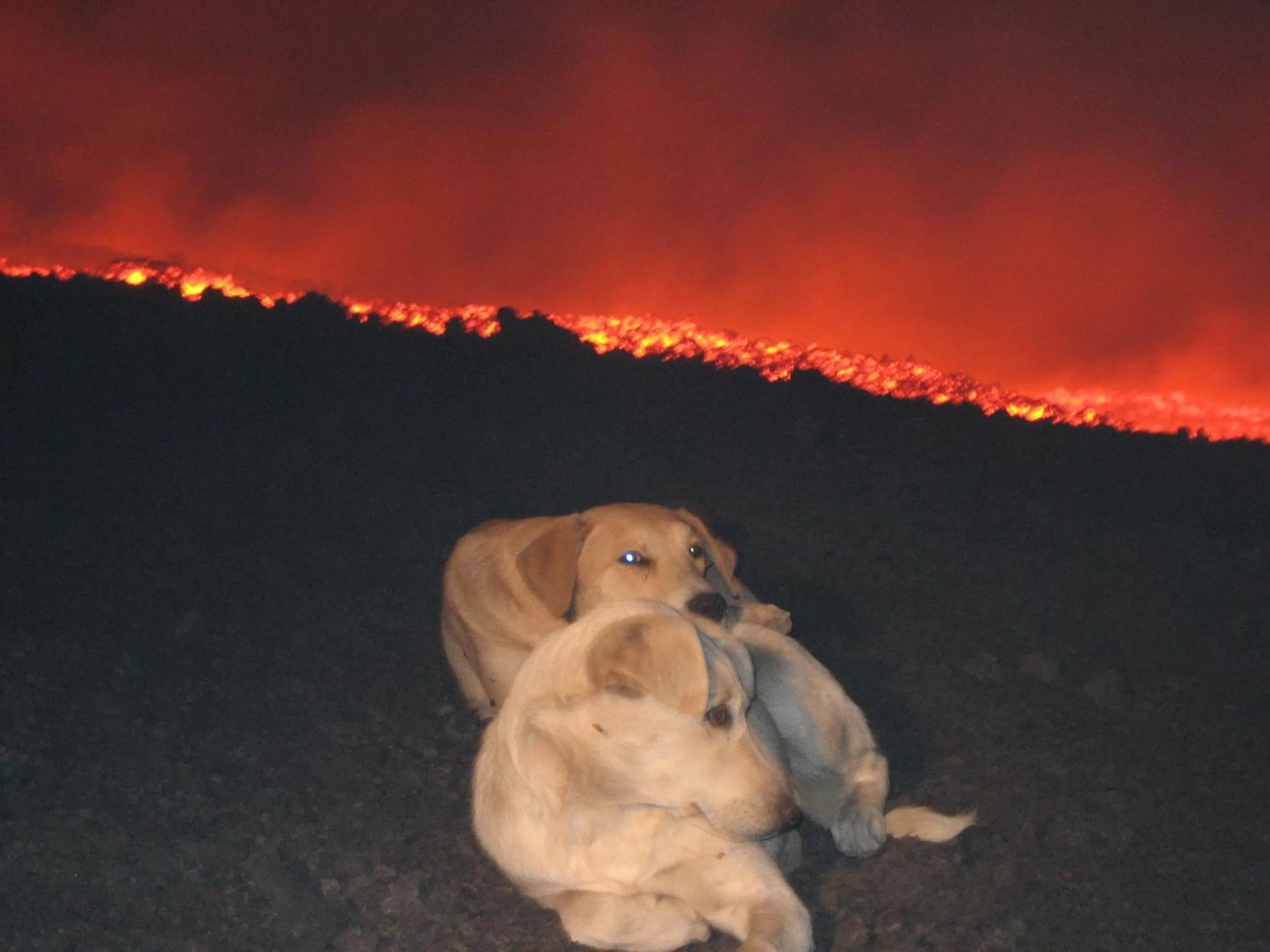 Area and facilities in Domus Verdiana