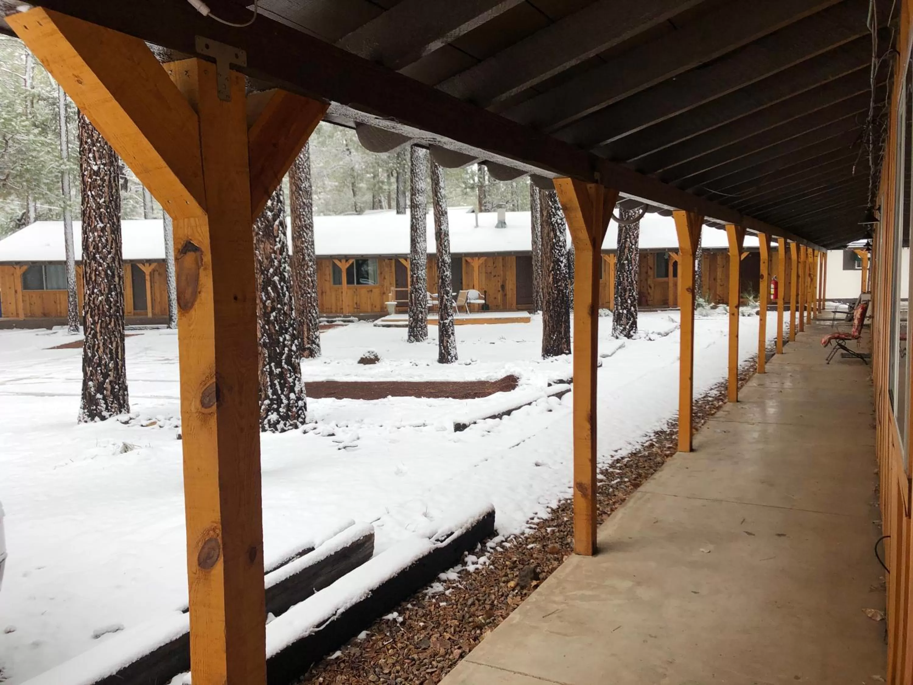 Winter in TimberLodge Inn