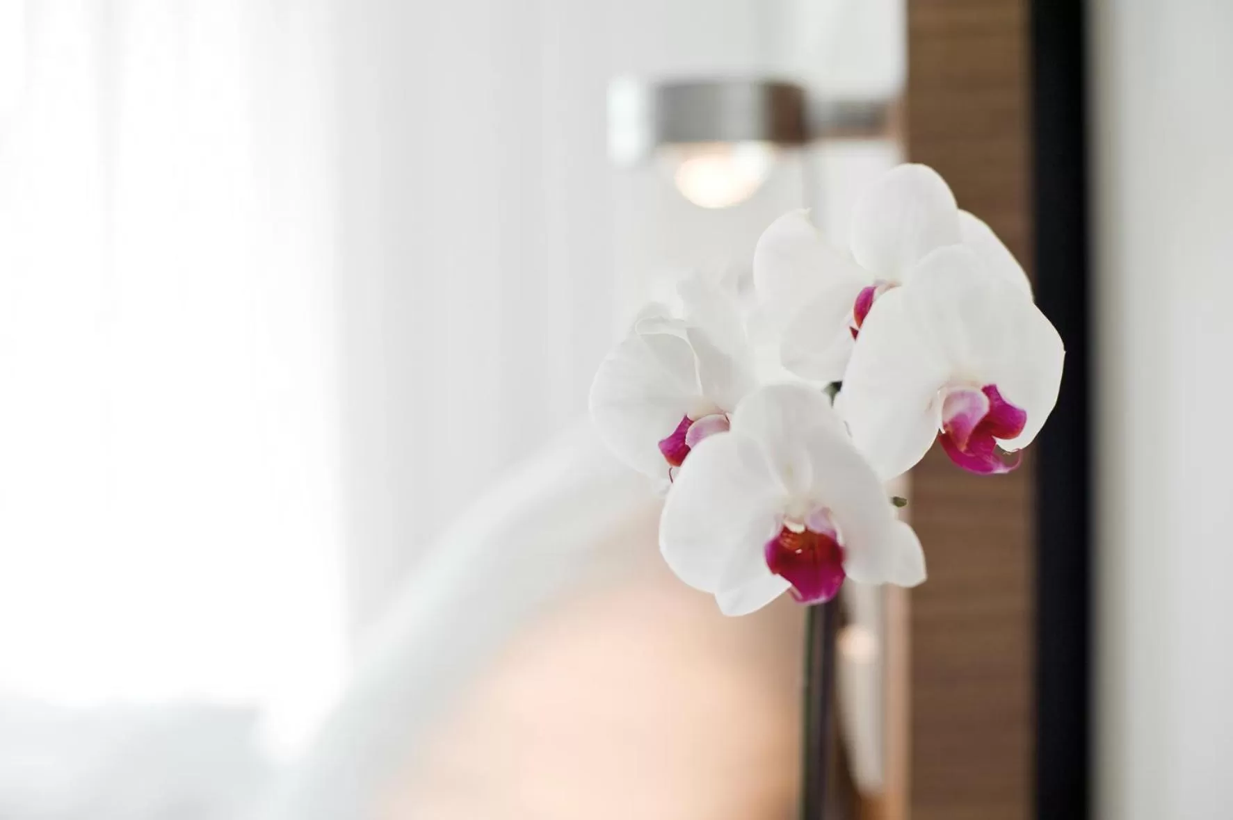 Decorative detail in Hotel Constantia