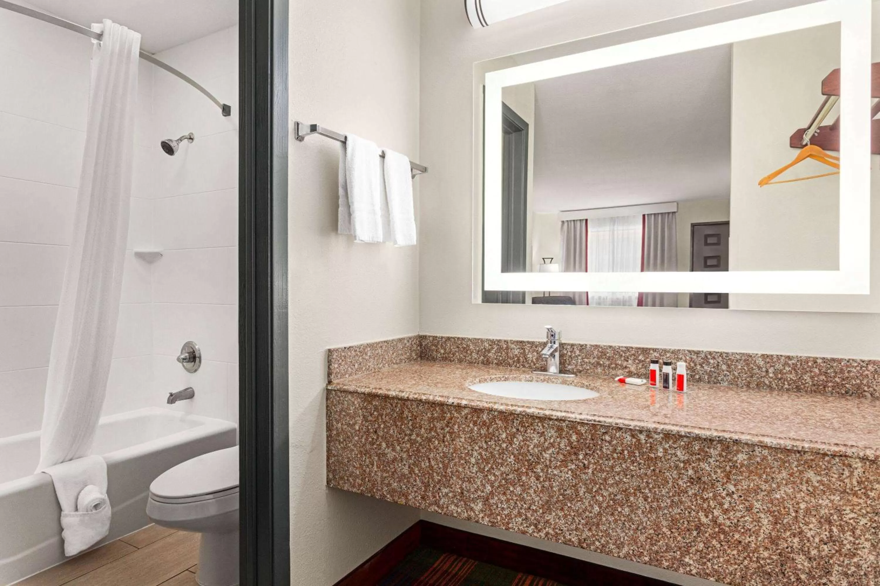 Bathroom in Ramada by Wyndham San Antonio Near SeaWorld - Lackland AFB