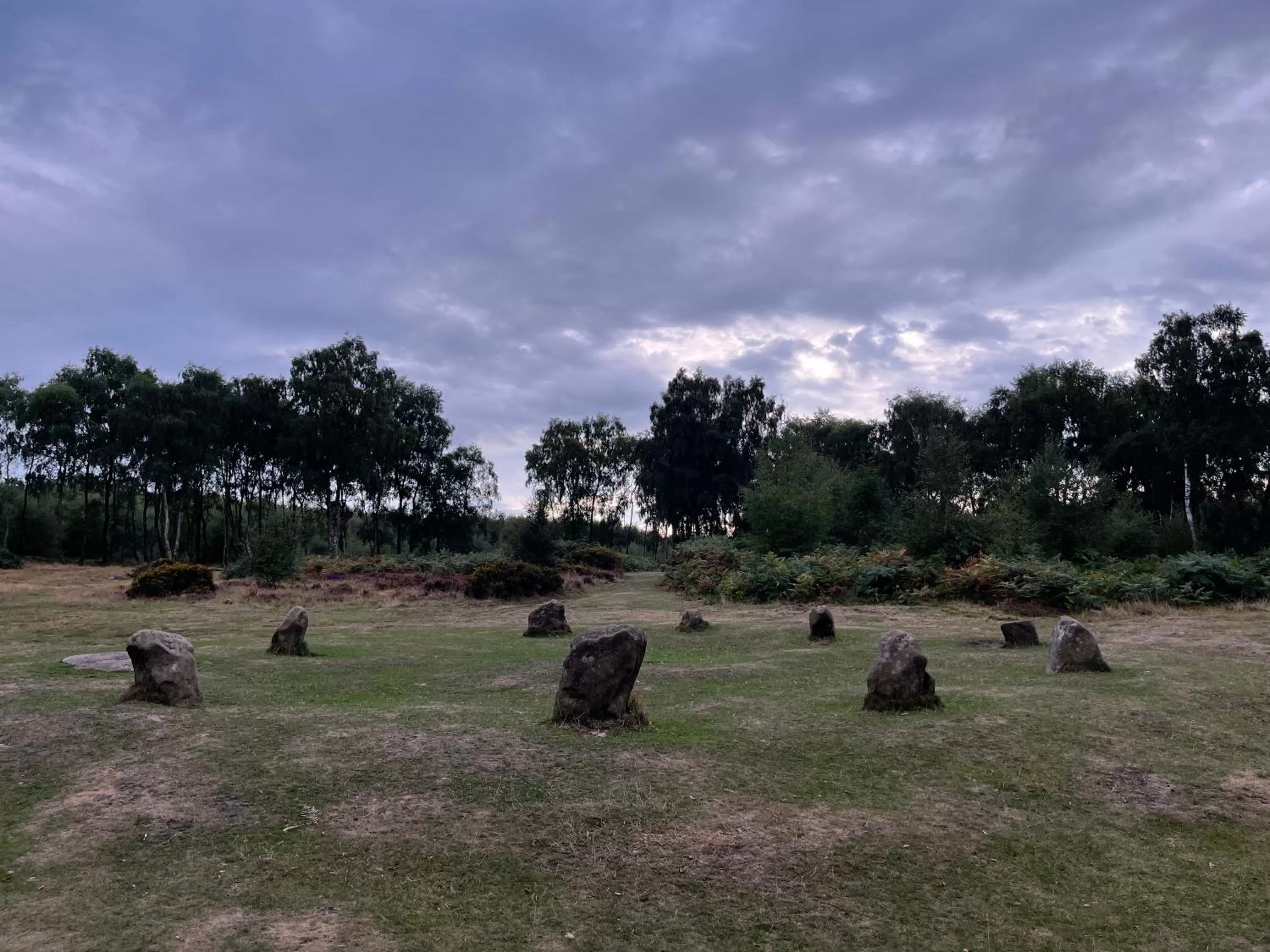 Other Animals in The Old Station House