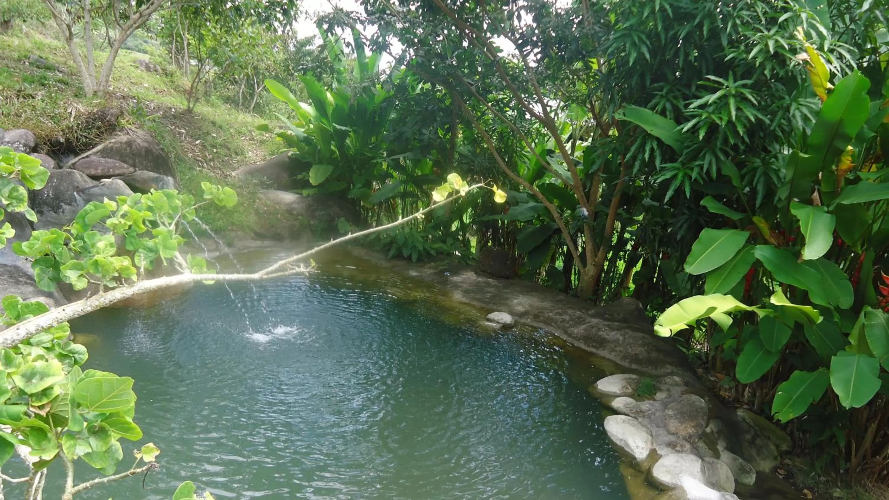 Spring in Pousada Aba da Serra