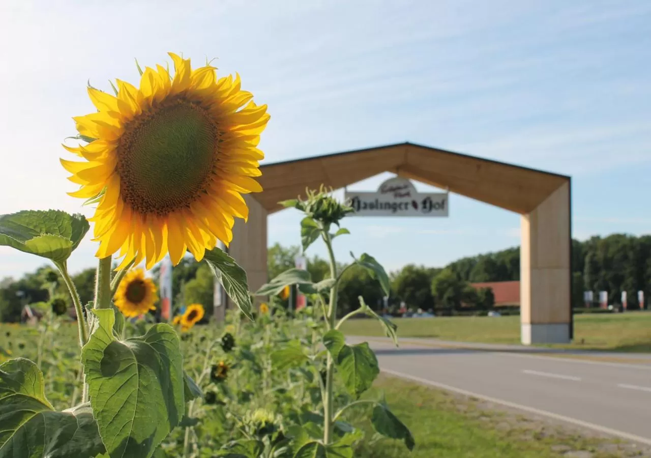 Area and facilities in Hotel am Haslinger Hof