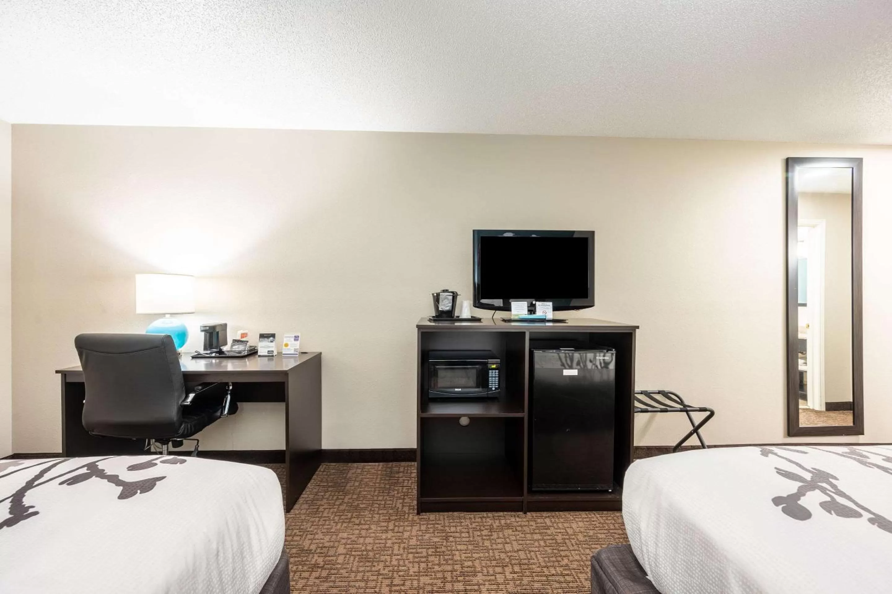 Photo of the whole room in Sleep Inn & Suites