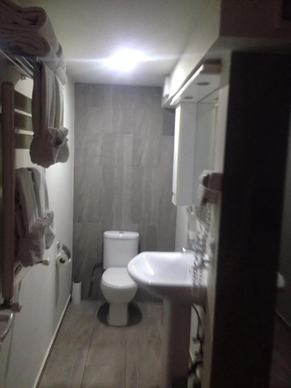 Toilet in Hotel ZP Palace