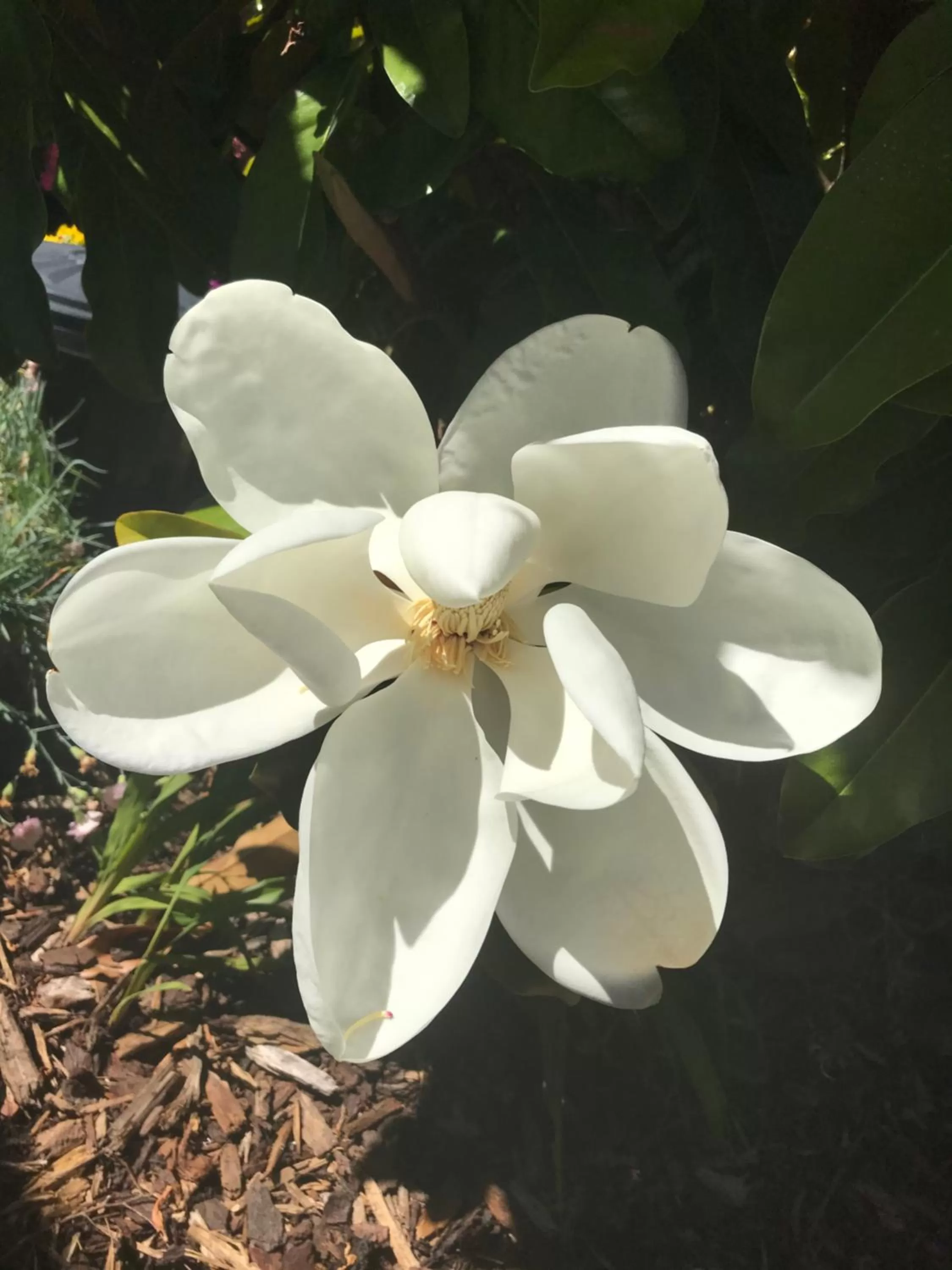 Hillside Bed and Breakfast