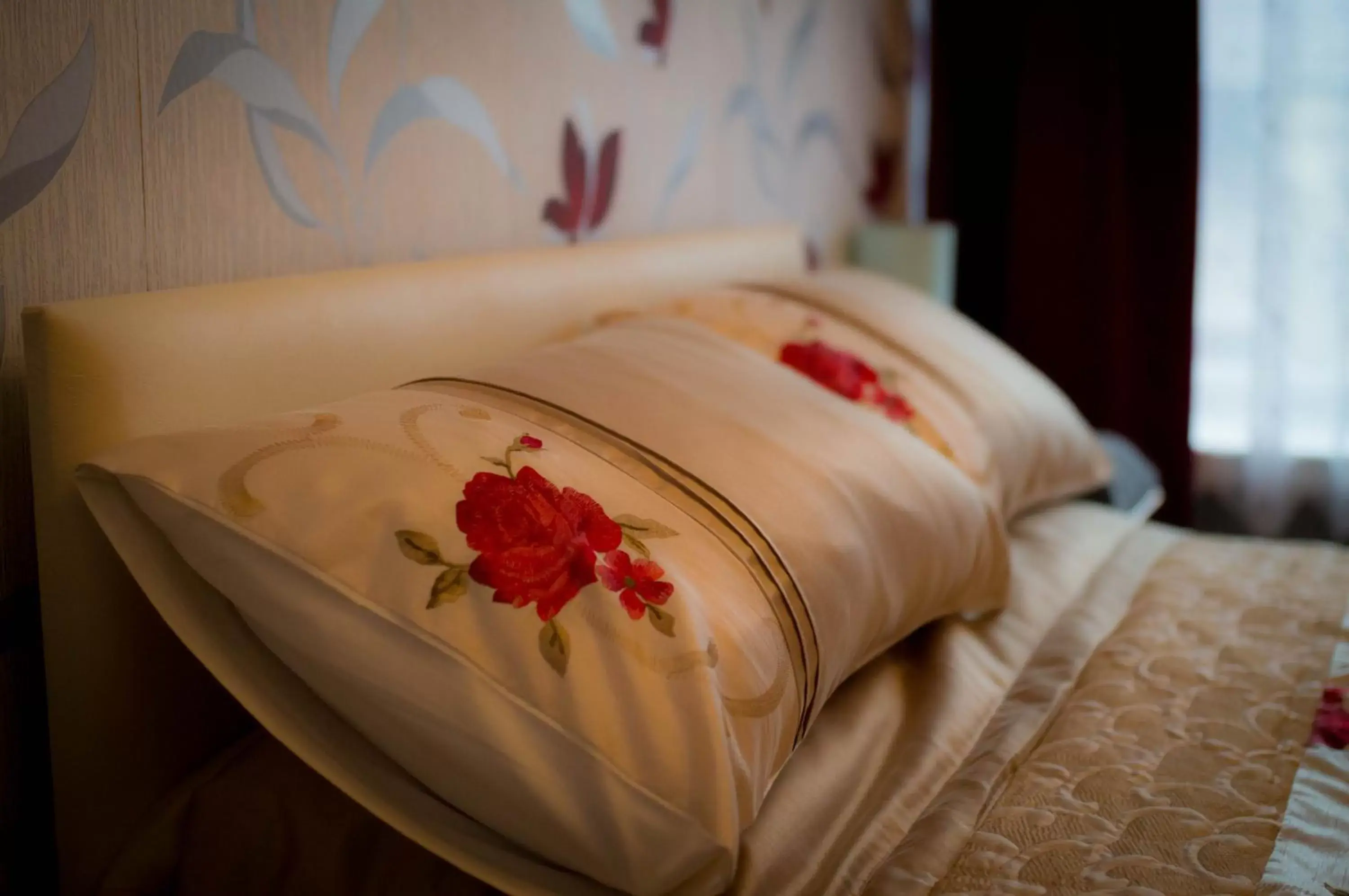 Double Room in Aden House Bed And Breakfast Double Room in Aden House Bed And Breakfast