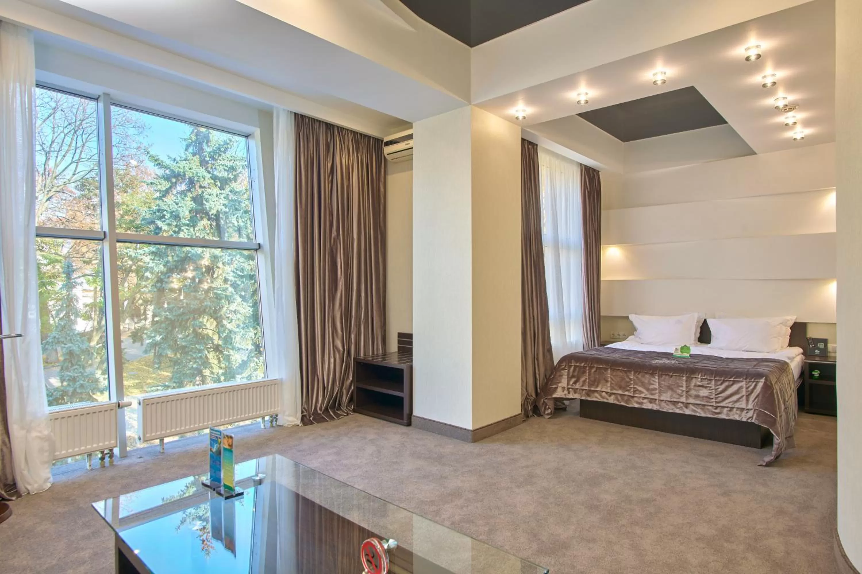 Junior Suite in Hotel & Spa NEMO with dolphins