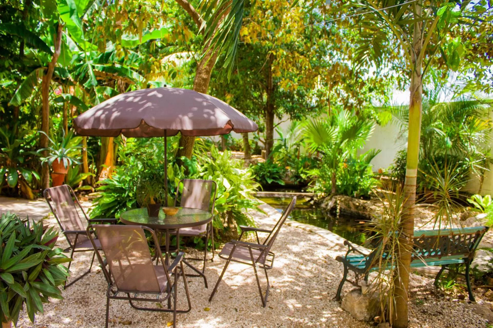 Patio, Restaurant/Places to Eat in Casa De Los Pájaros - B&B