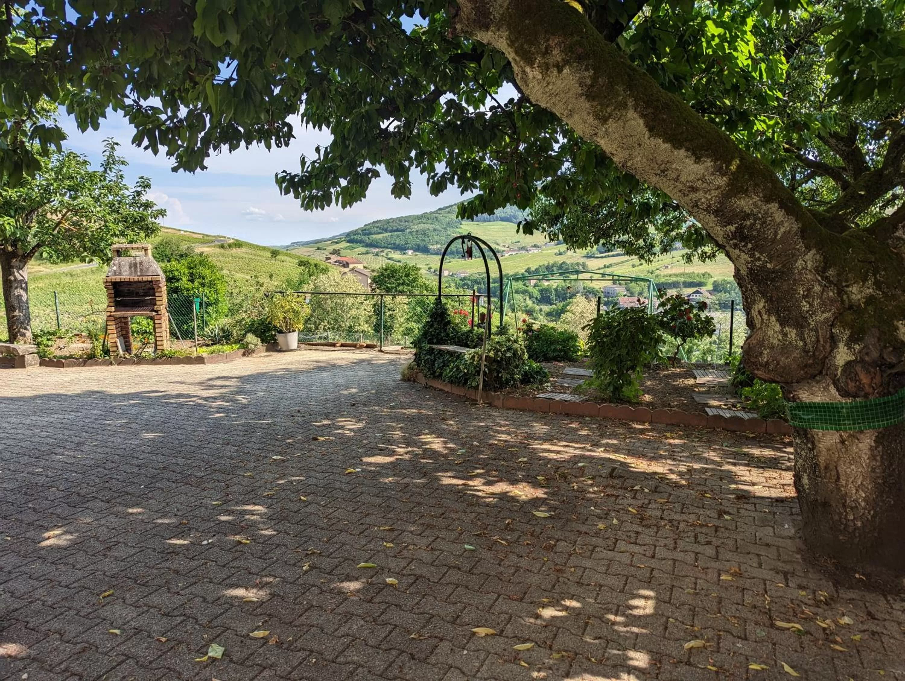 Garden view, Garden in Domaine viticole Philippe Deschamps