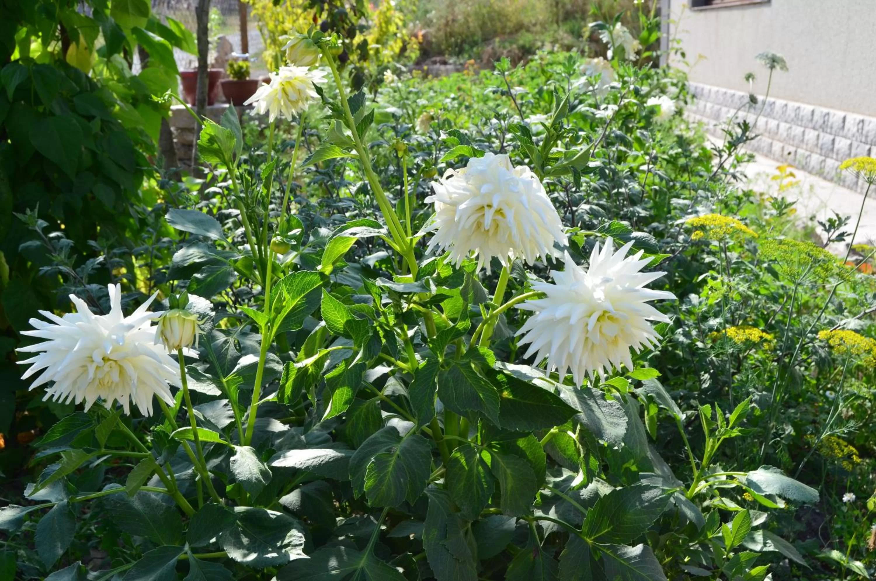 Property building in Green Dilijan B&B