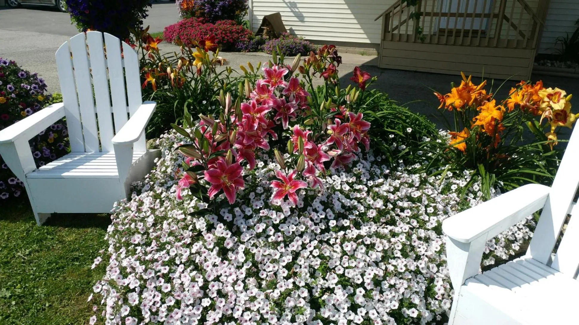 Sunset Motel at Armand's Gardens