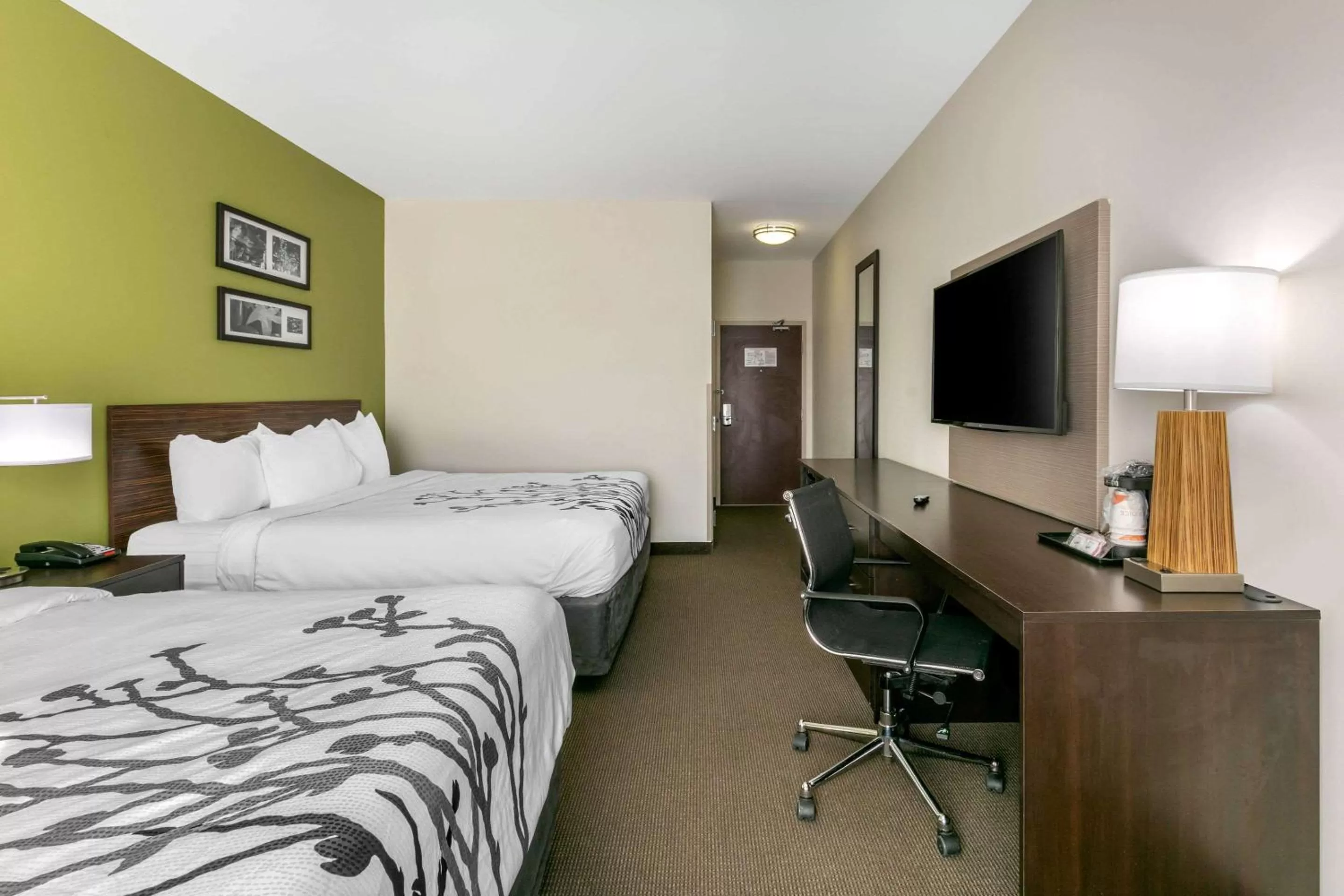 Photo of the whole room, Bed in Sleep Inn & Suites Columbia I-65