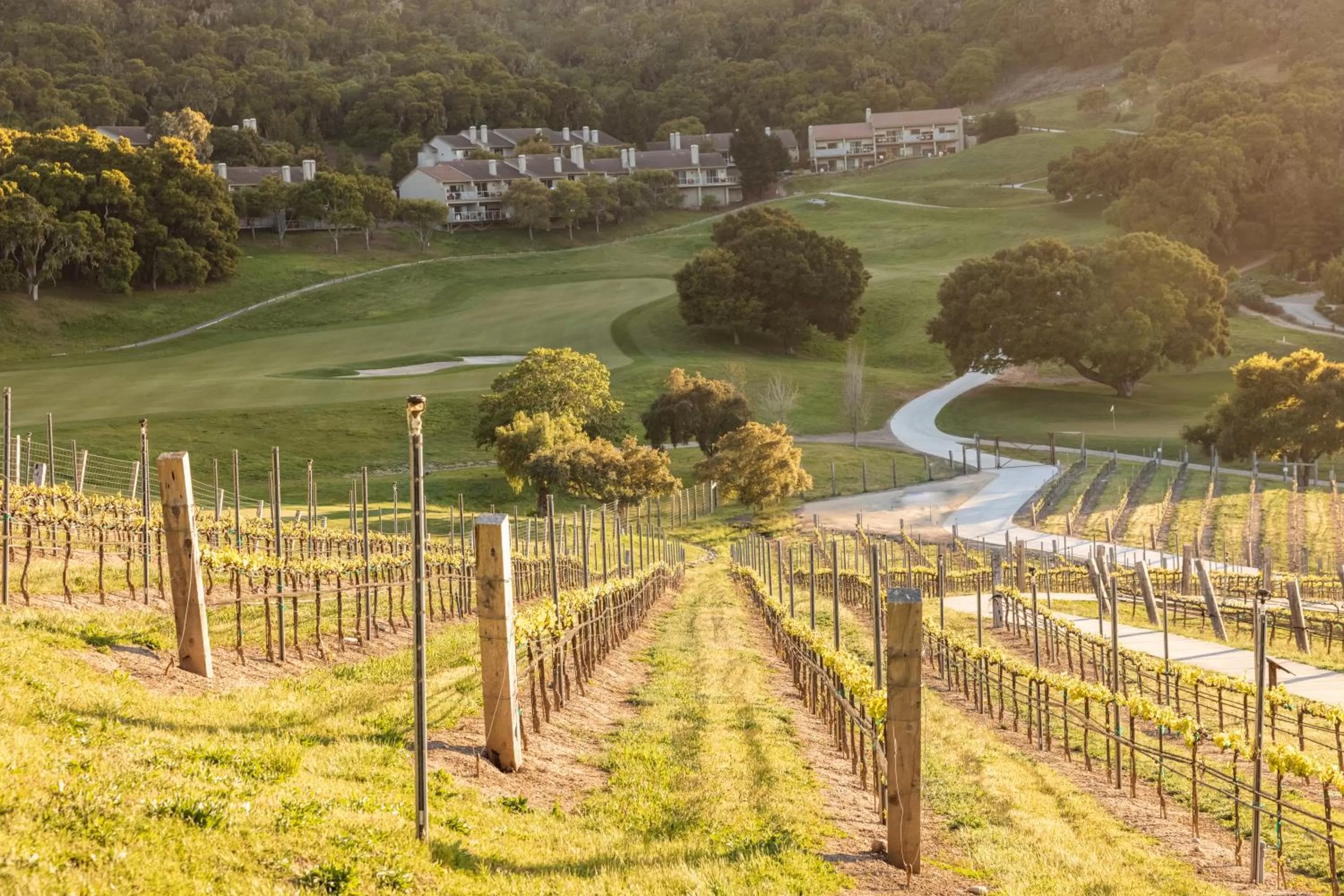 Area and facilities in Carmel Valley Ranch, in The Unbound Collection by Hyatt