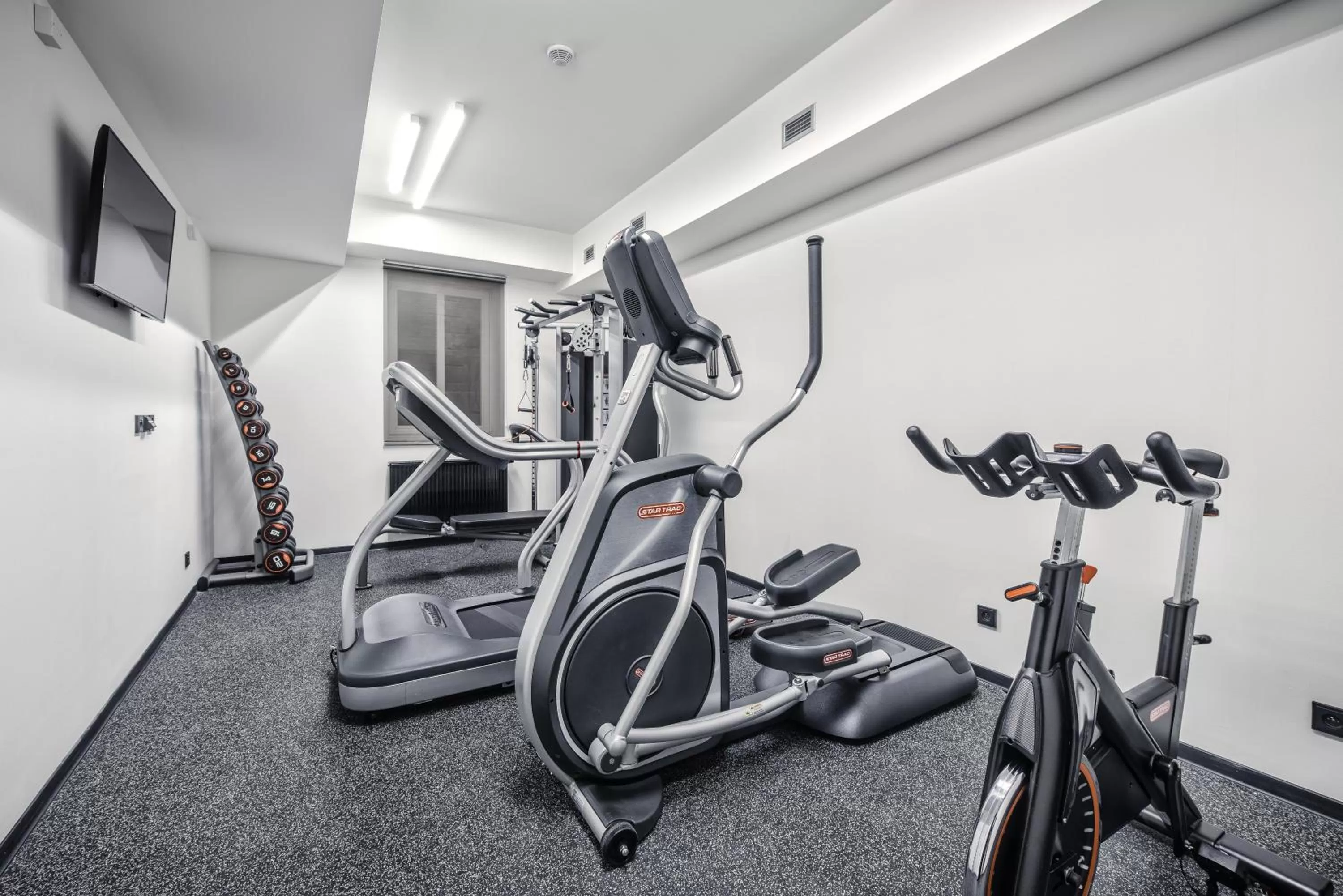 Fitness centre/facilities in Theresian Hotel
