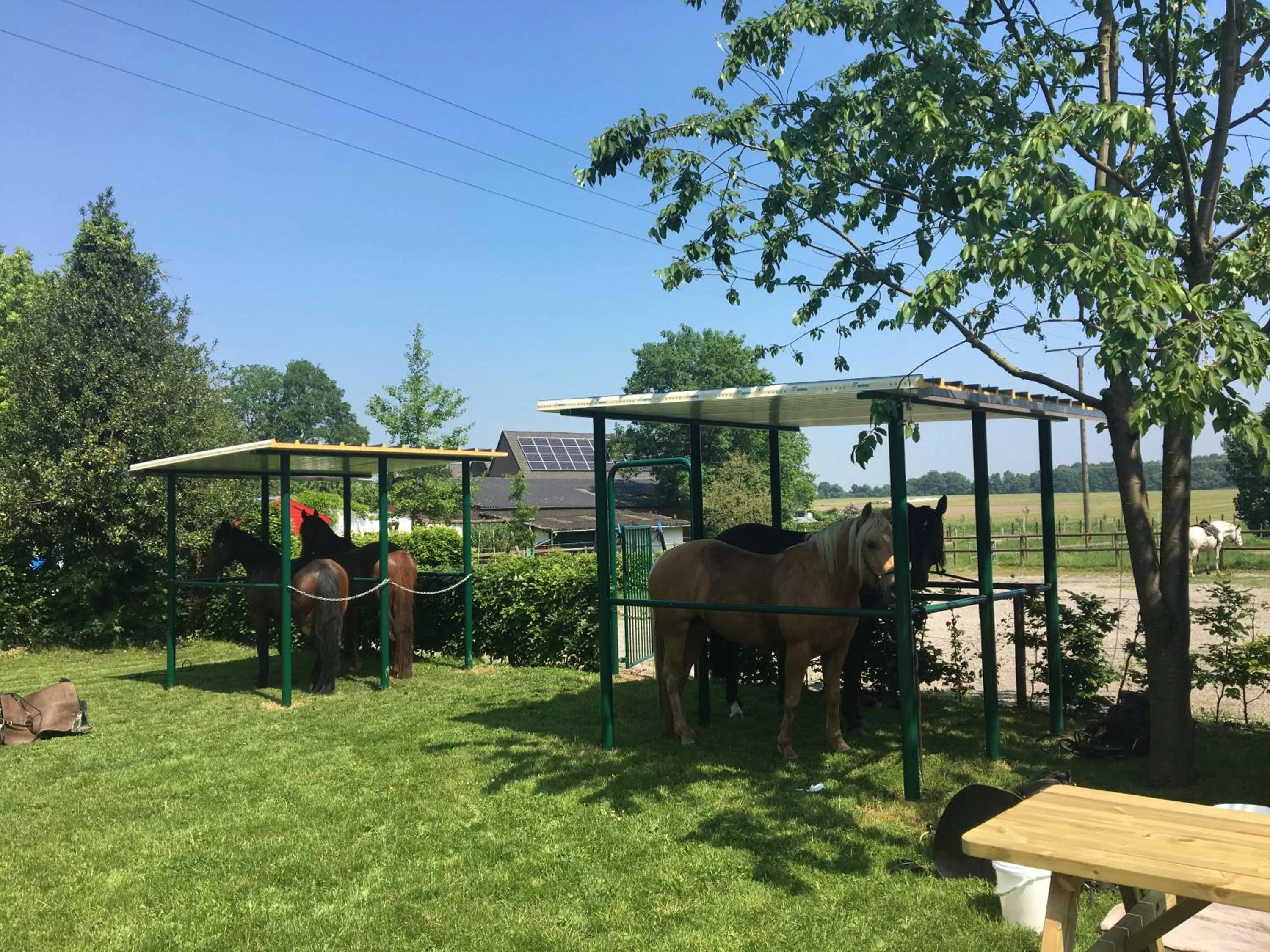 Patio in Das Gasthaus am Reichswald