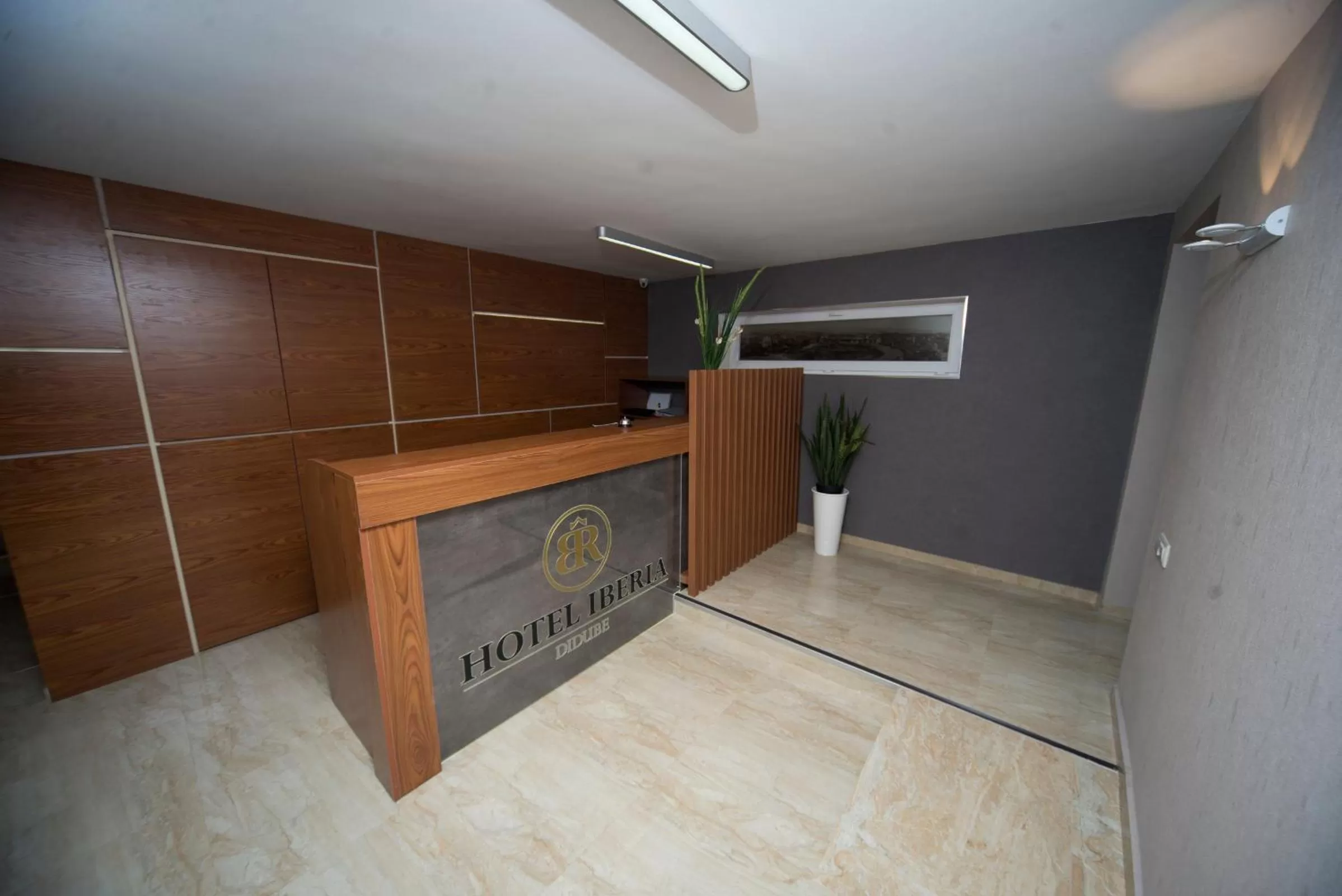 Lobby or reception in Iberia Didube