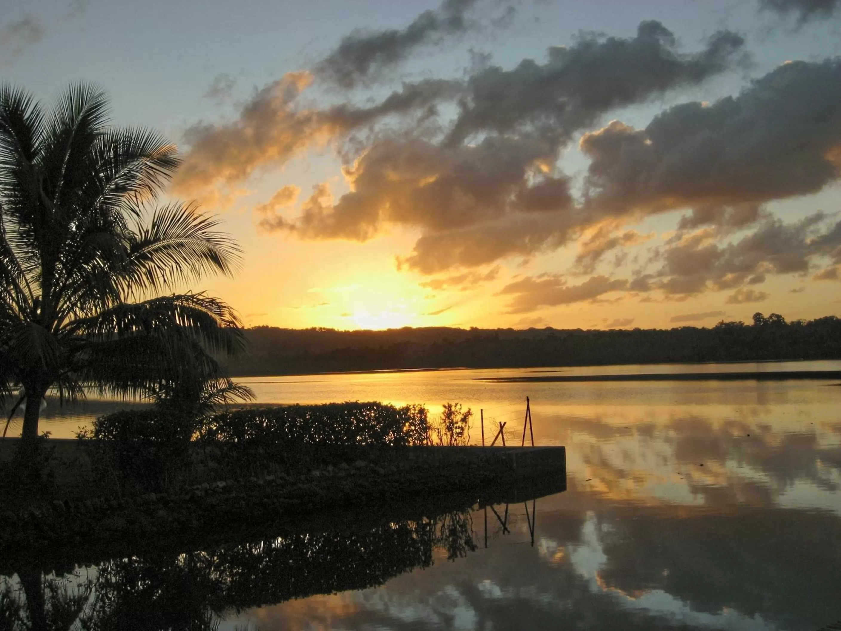 Natural landscape in Seachange Lodge