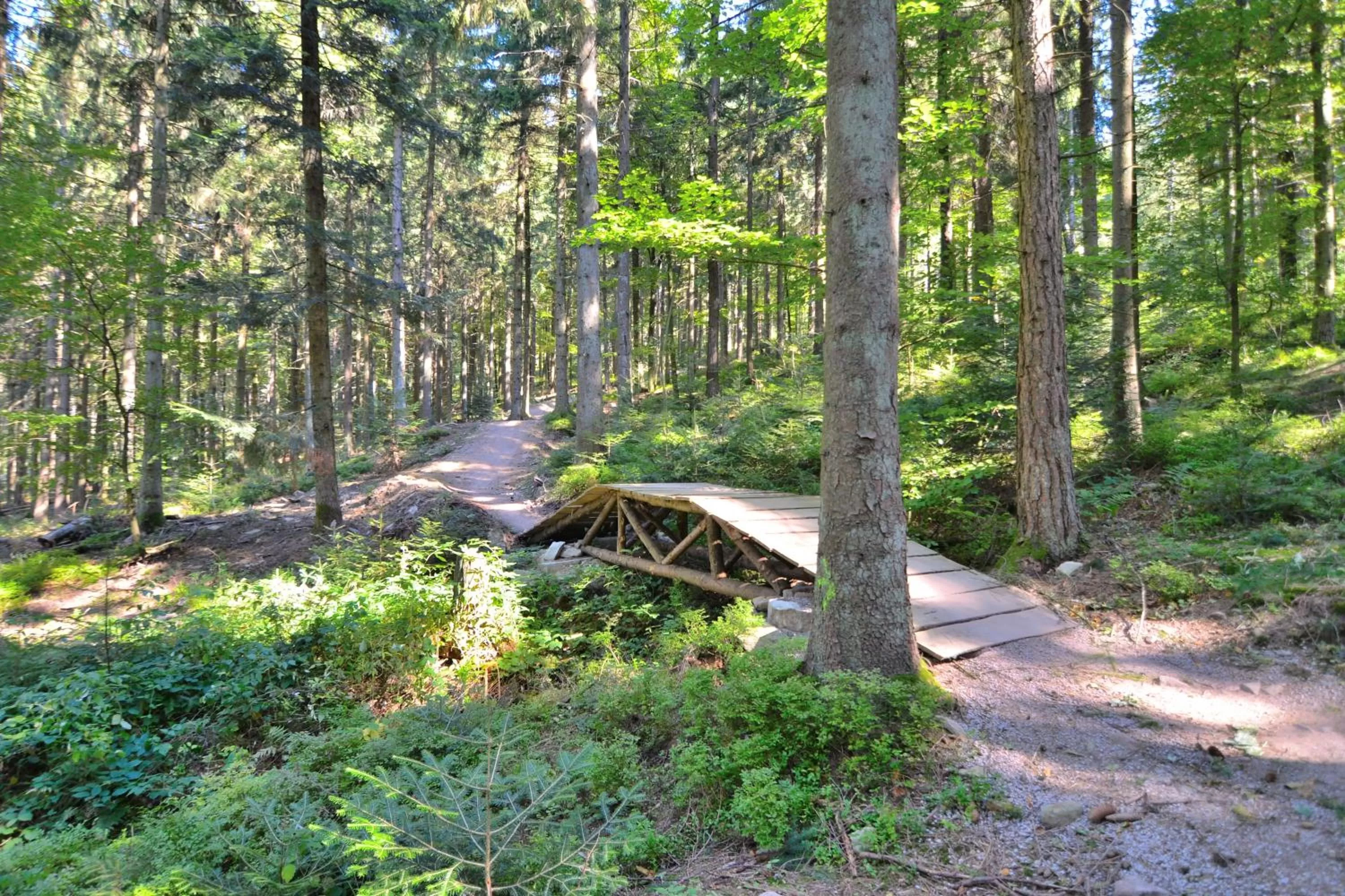 Natural landscape in RelaxHotel Tannenhof