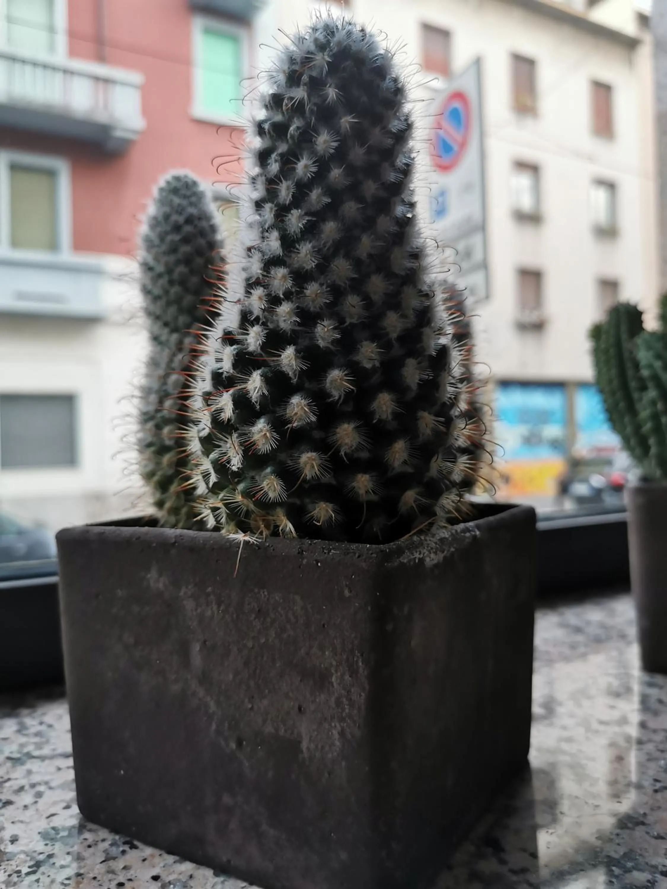Decorative detail in Hotel Venini