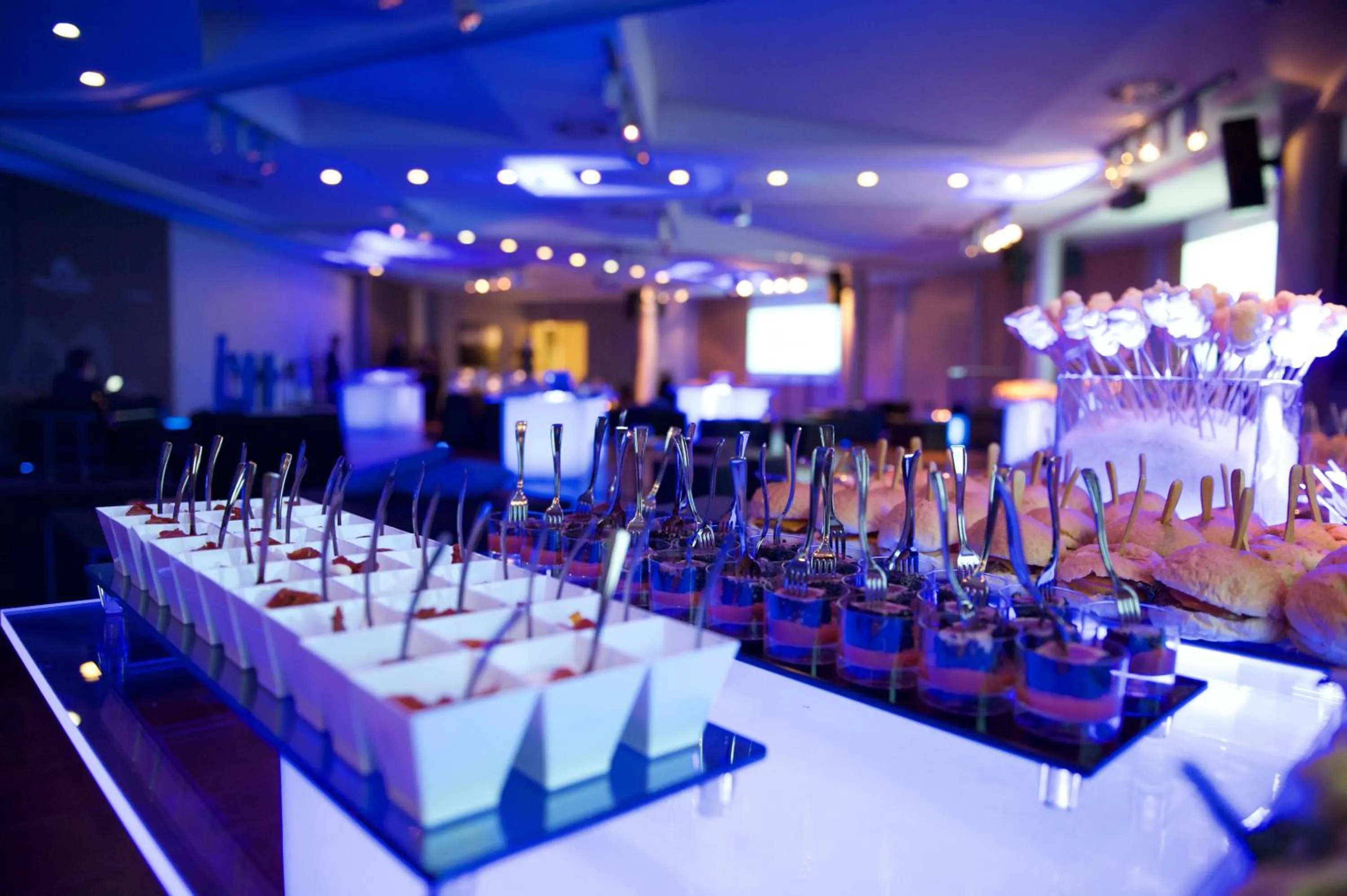 Business facilities in Winter Garden Hotel Bergamo Airport