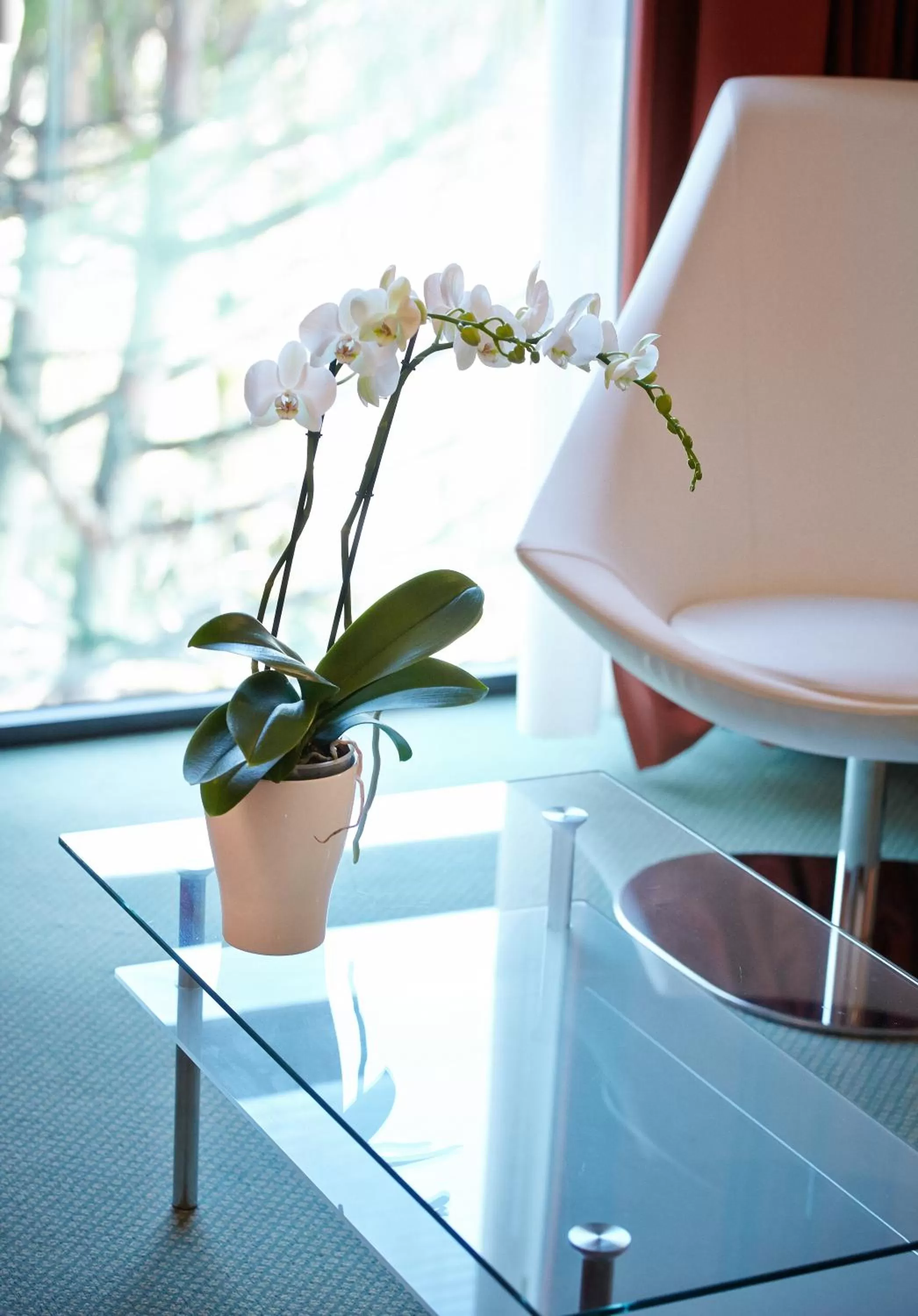 Decorative detail in Primhotel