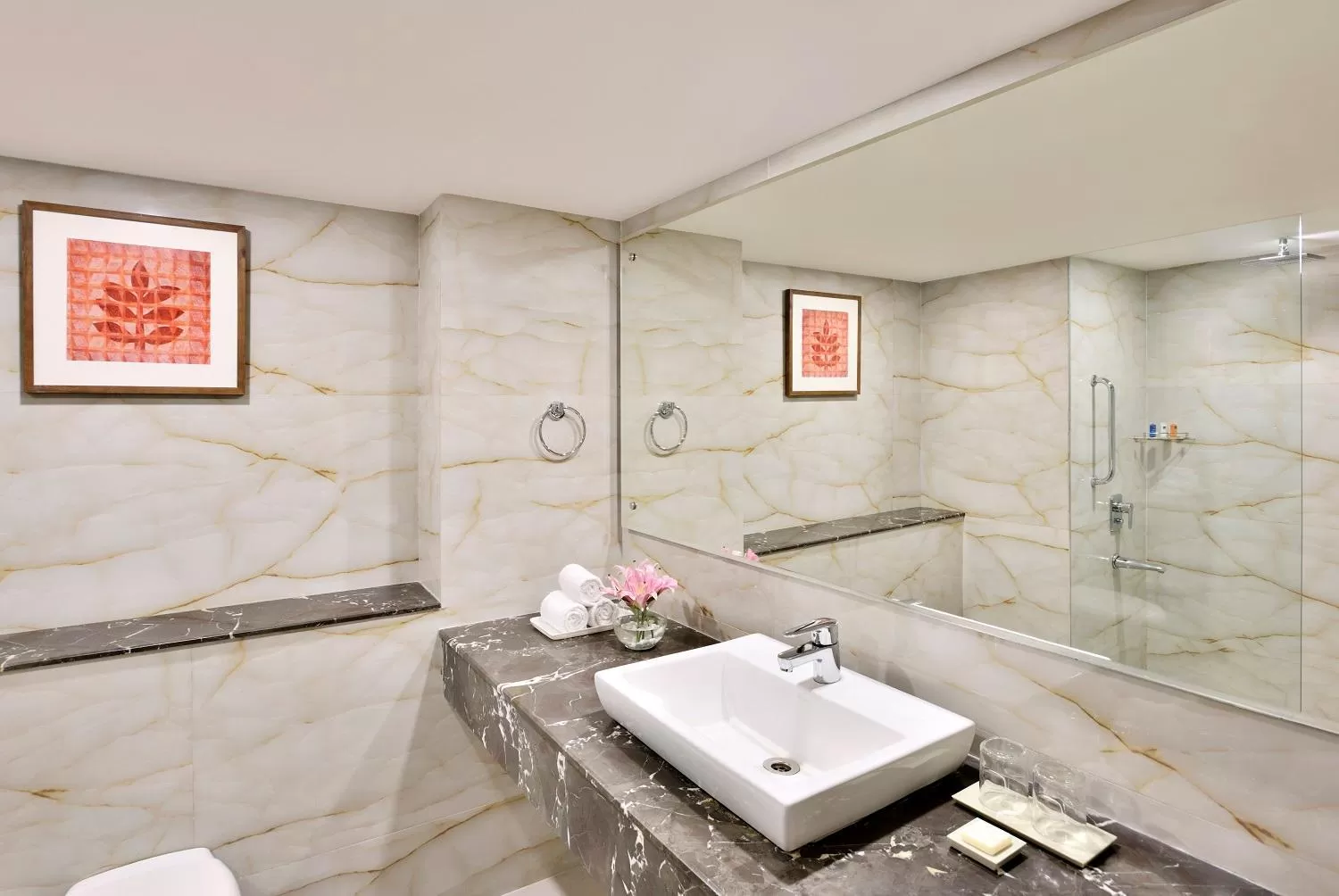 Bathroom in Radisson Srinagar