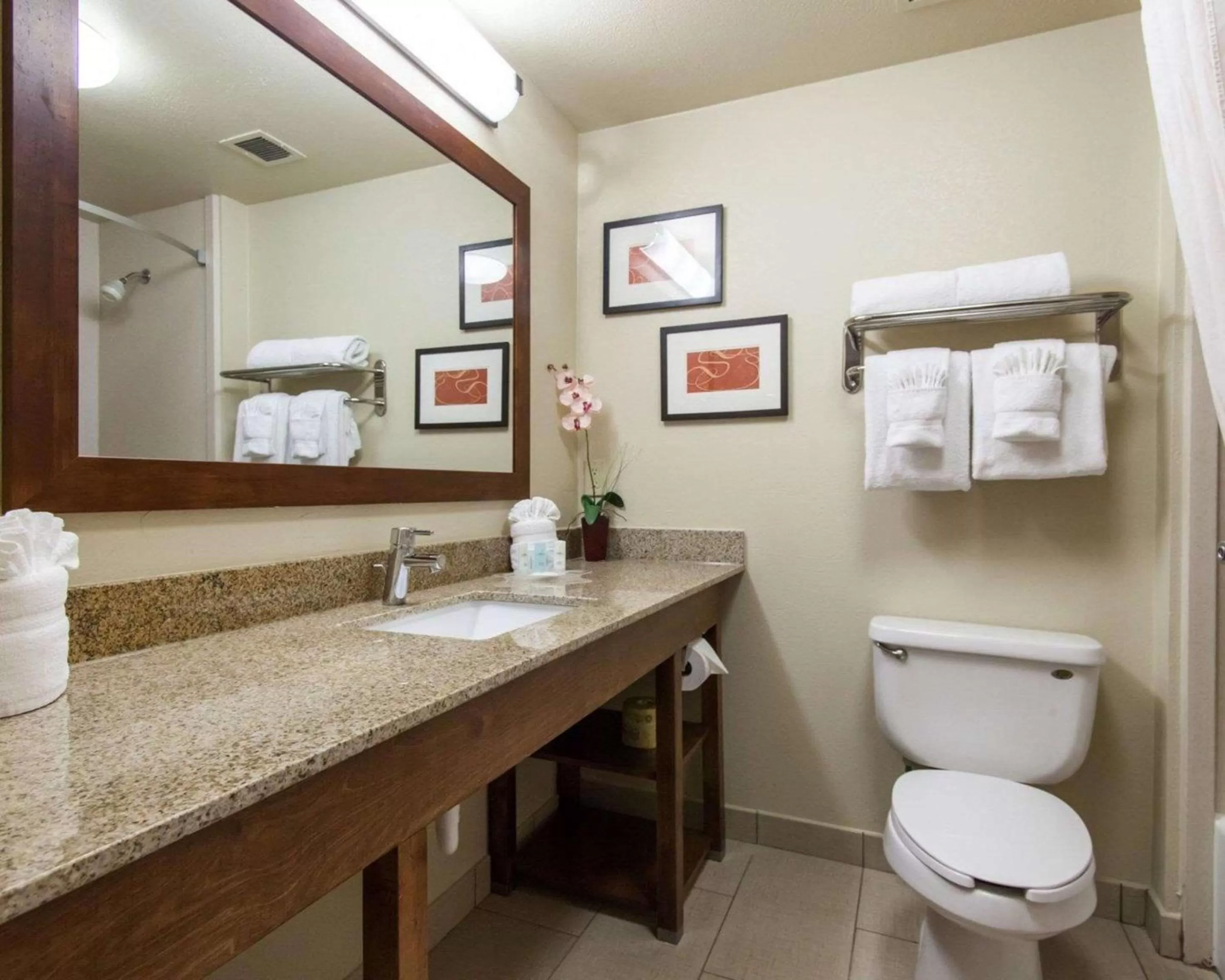 Bathroom in Comfort Suites Tulsa Central
