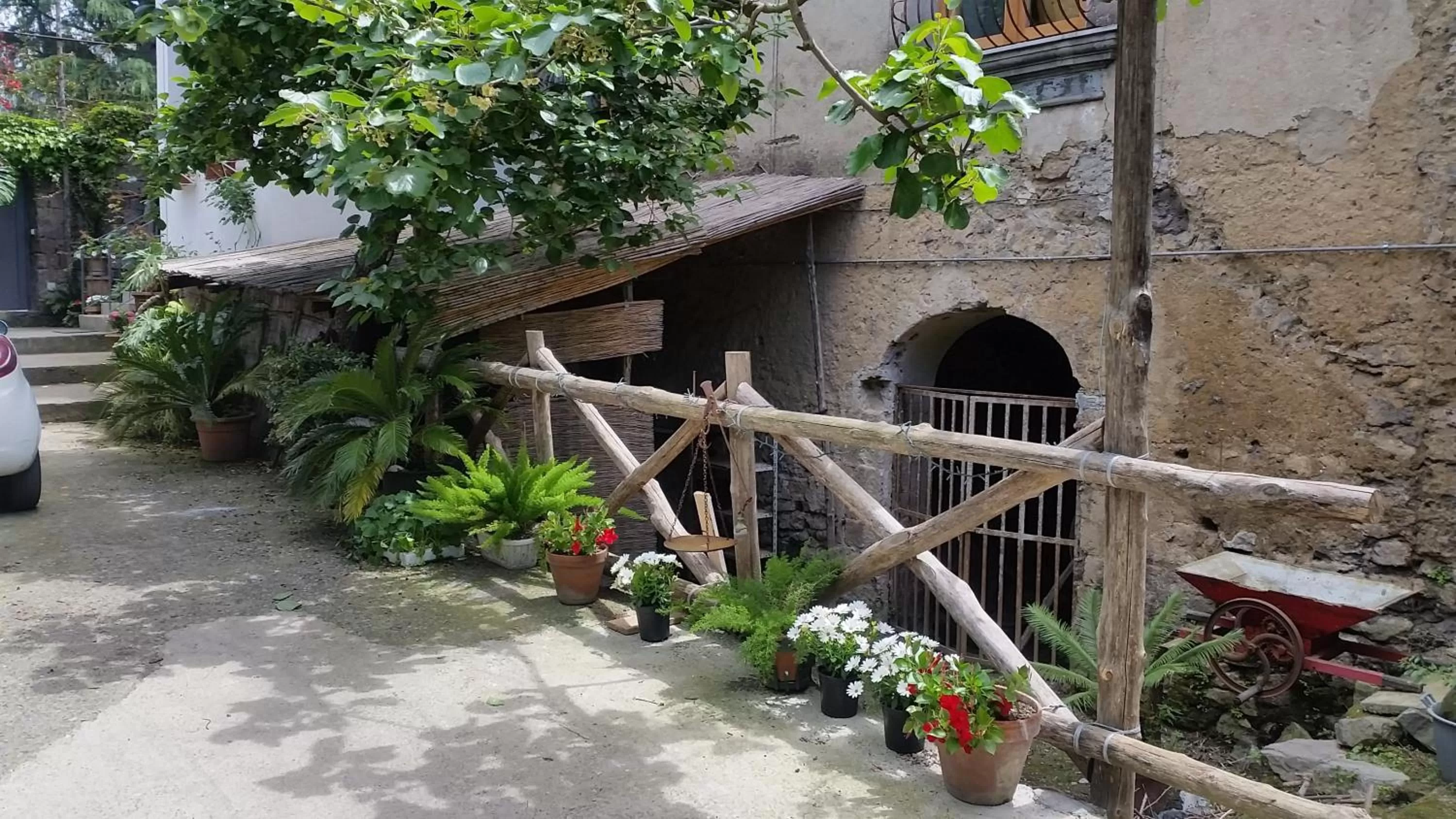 Garden in Casa Carolina B&B