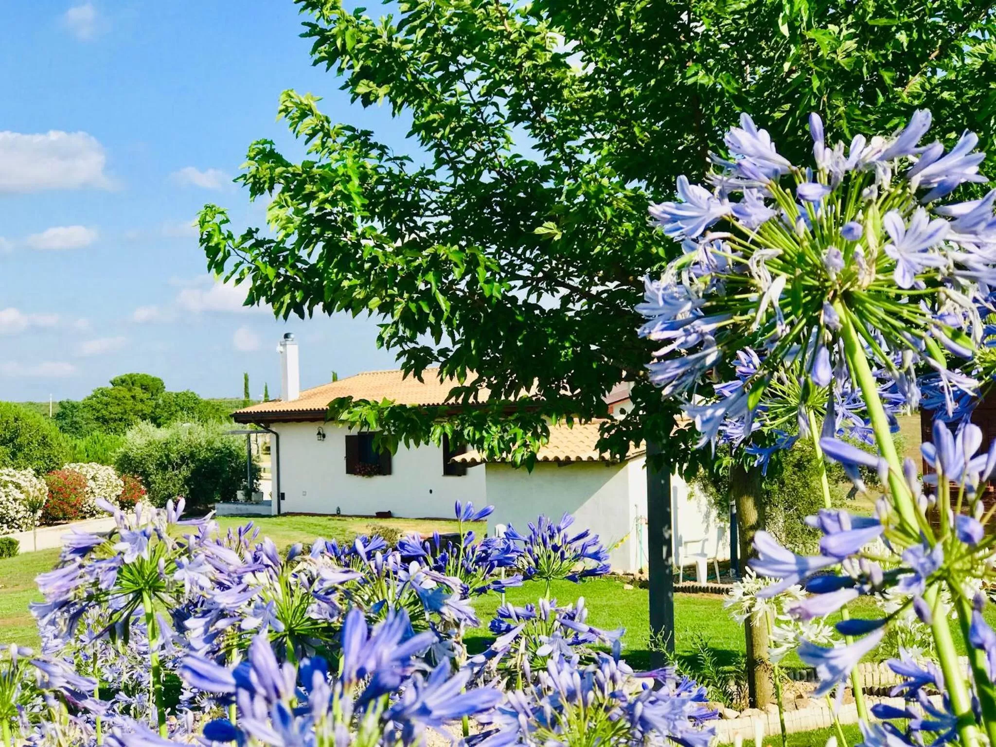 Garden in La collina delle fonti