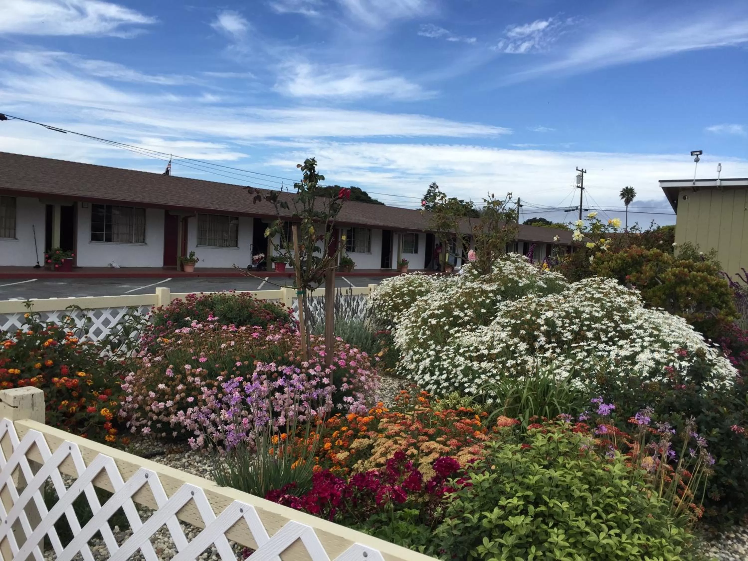 Garden, Property Building in Wagon Wheel Motel