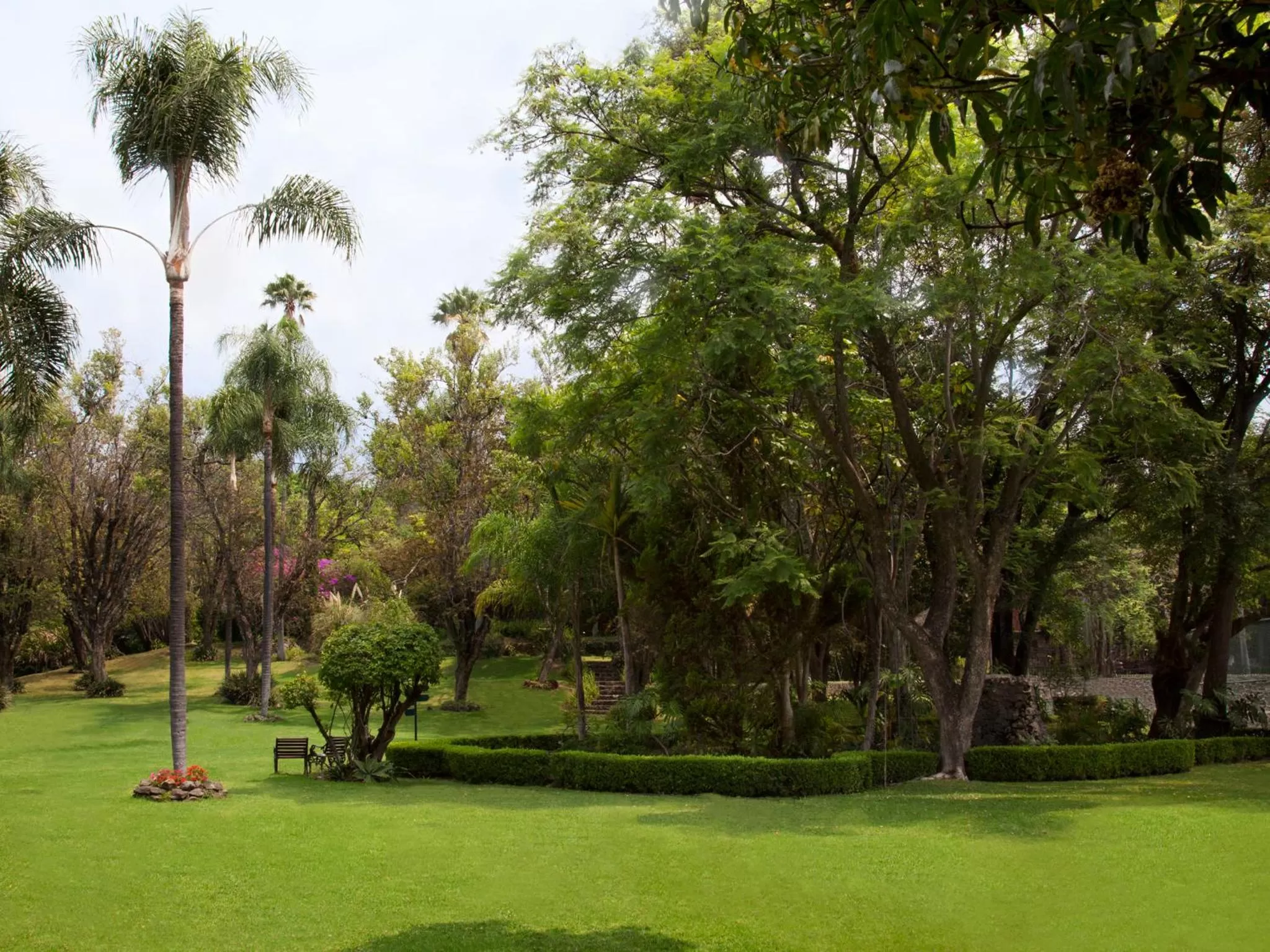 Garden in Hotel Racquet Cuernavaca