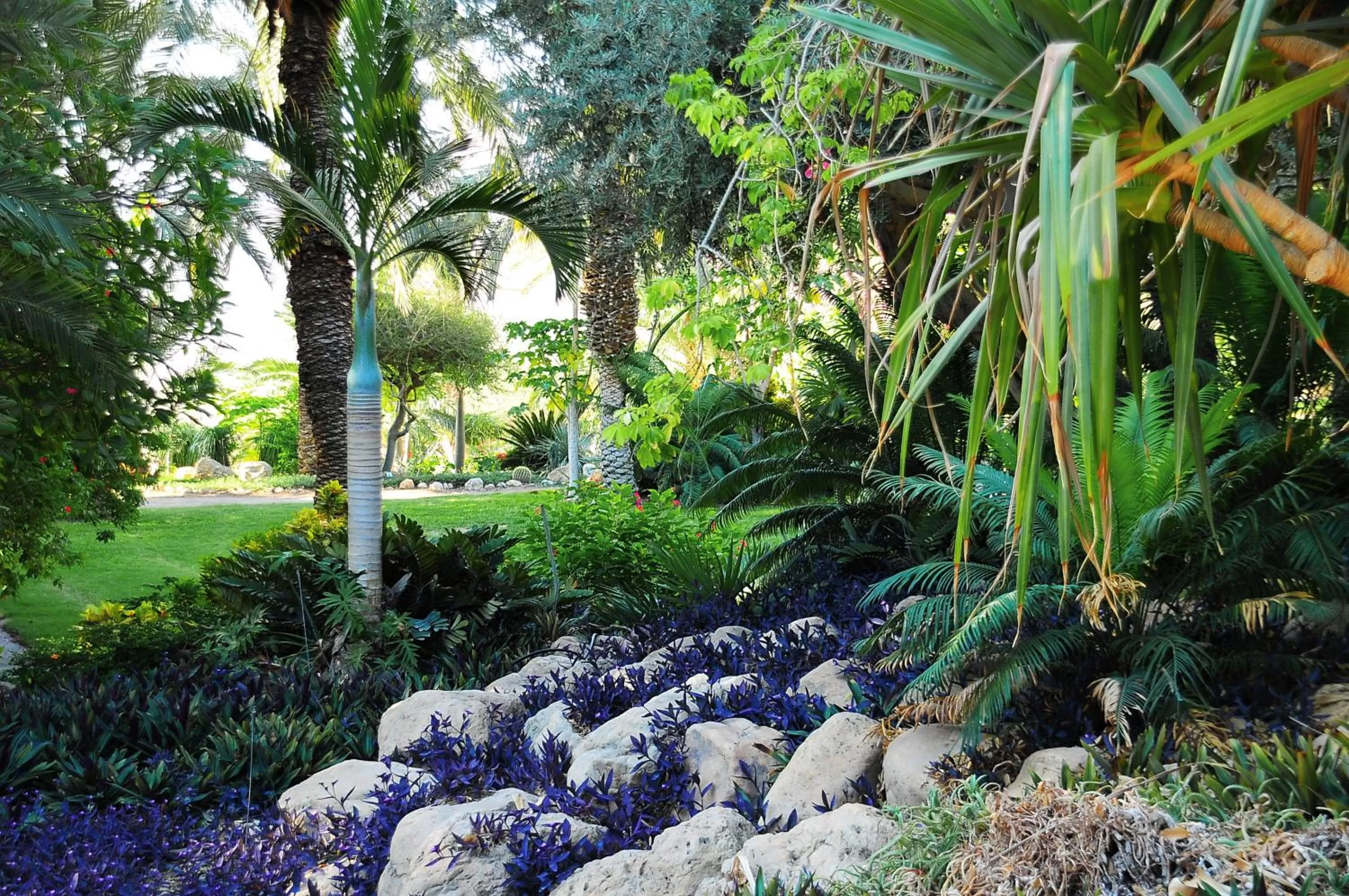 Garden view in Ein Gedi Kibbutz Hotel