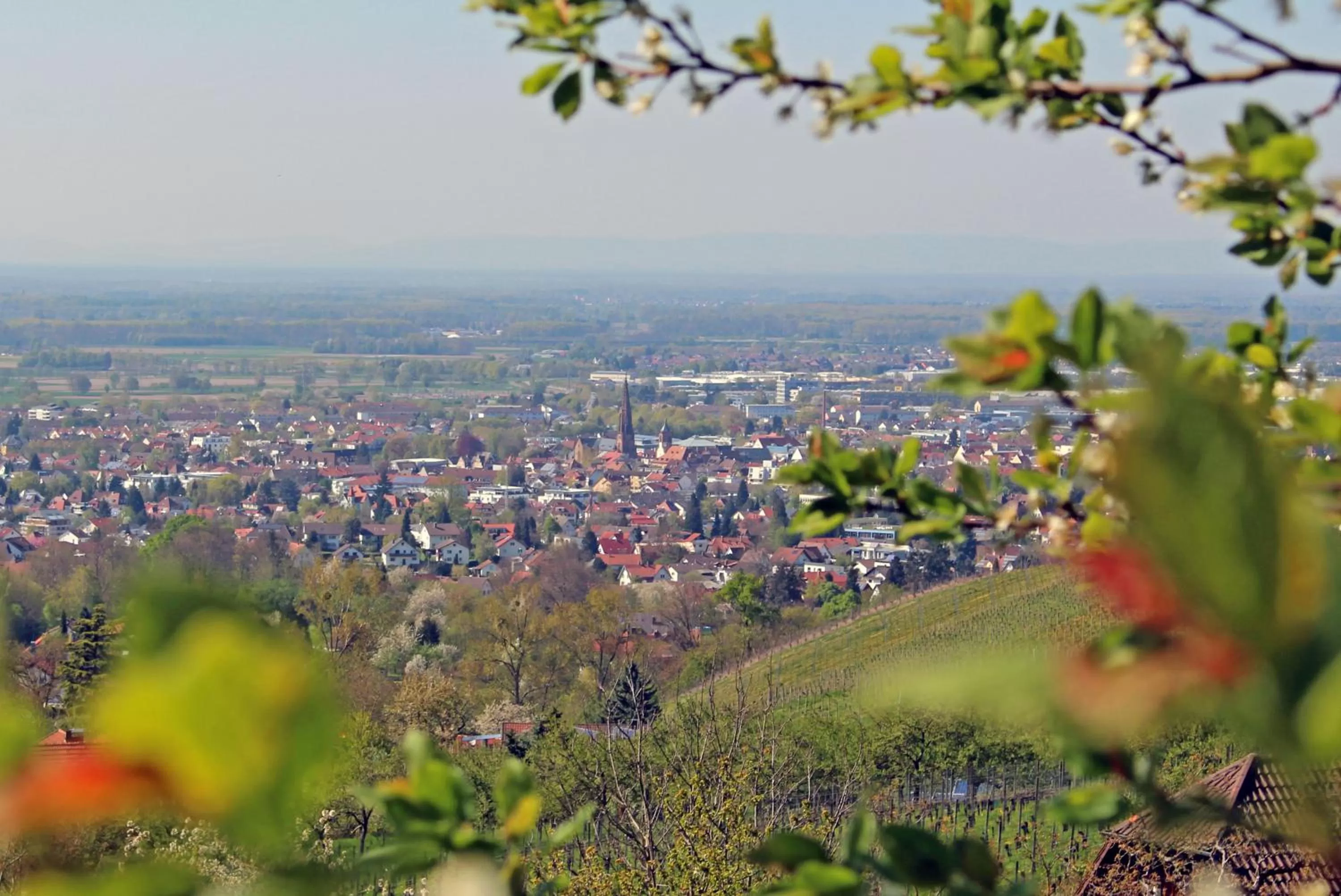 Natural landscape in Hotel Restaurant Jaegersteig