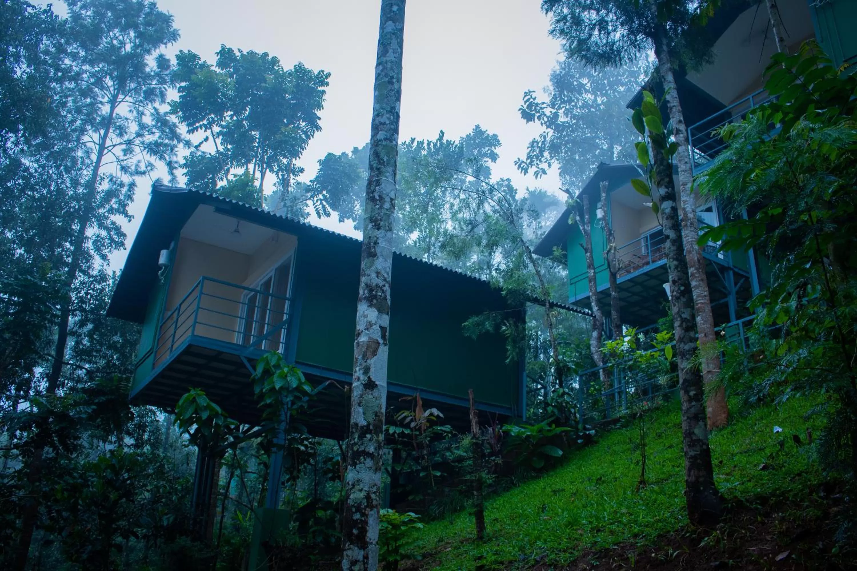 Property building in Edens Munnar