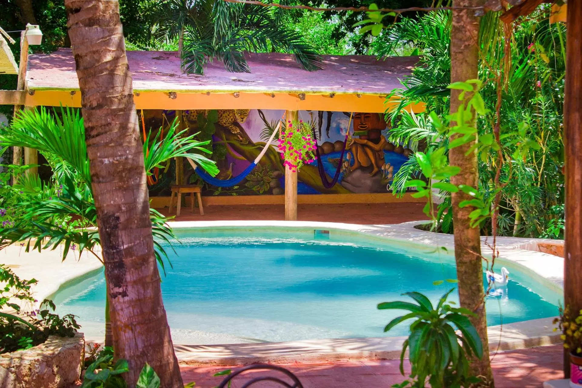 Swimming Pool in Casa De Los Pájaros - B&B