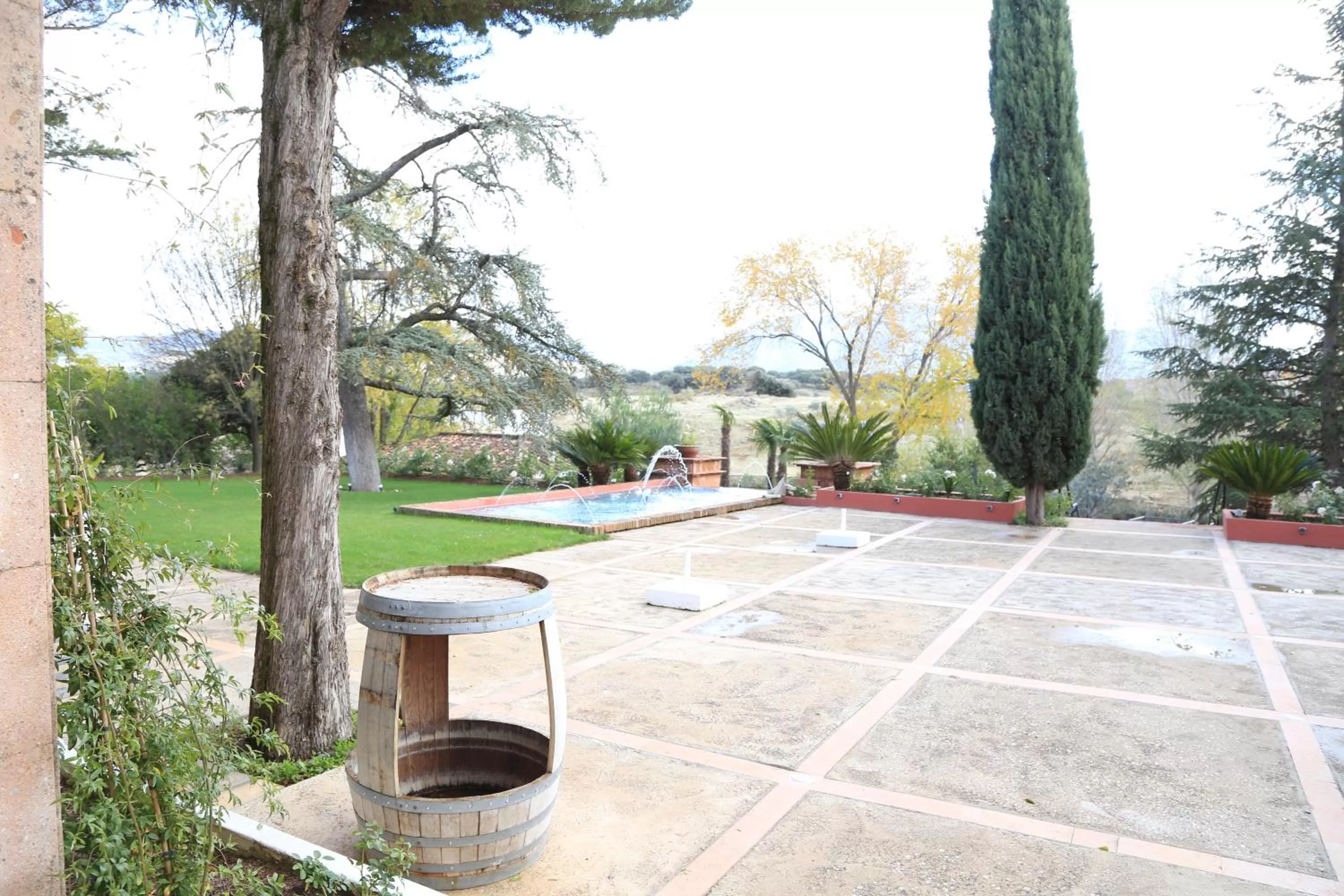 Off site, Swimming Pool in Hotel Bodega El Juncal