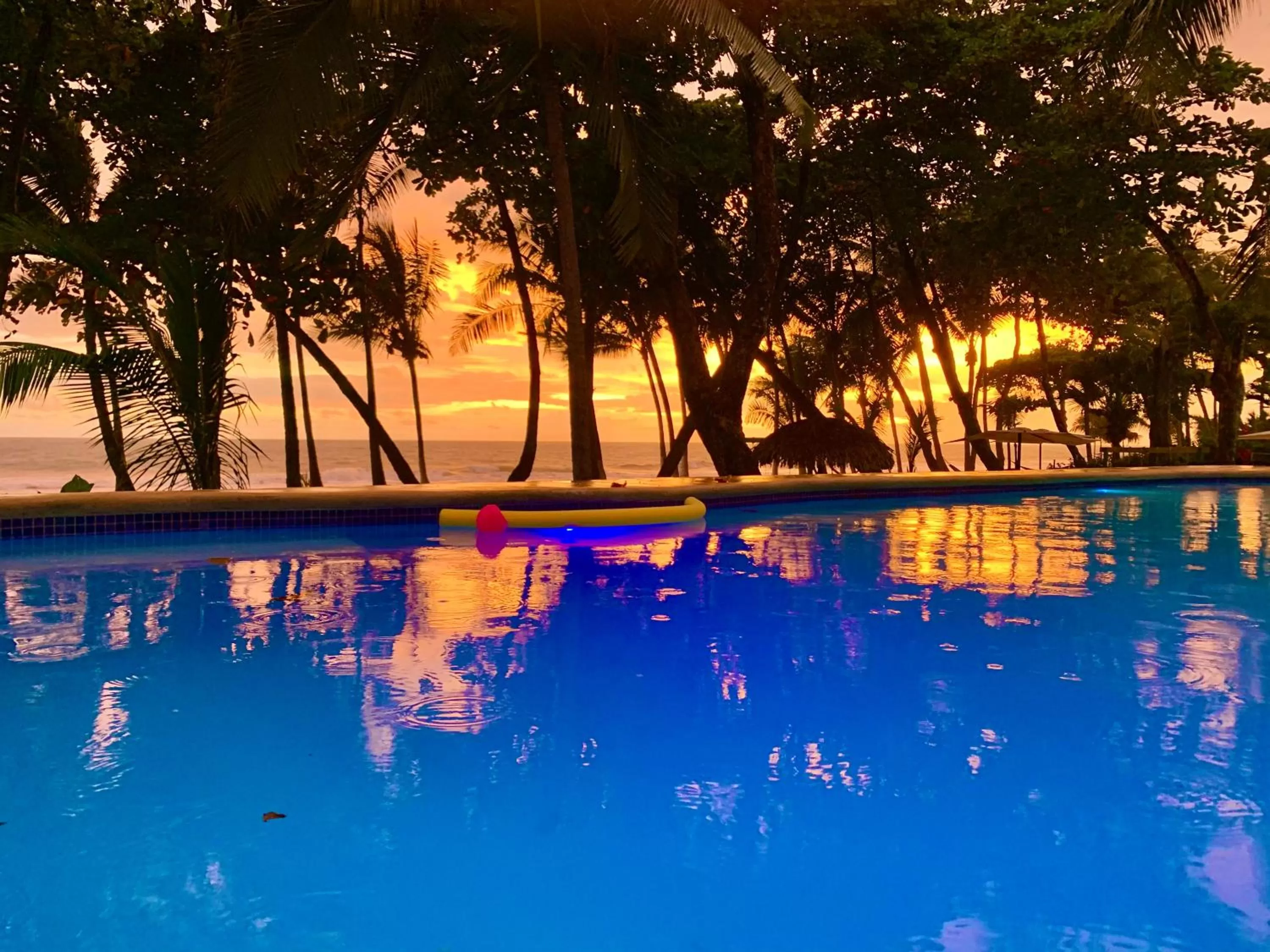 Swimming Pool in Hotel Beachfront Vista Hermosa