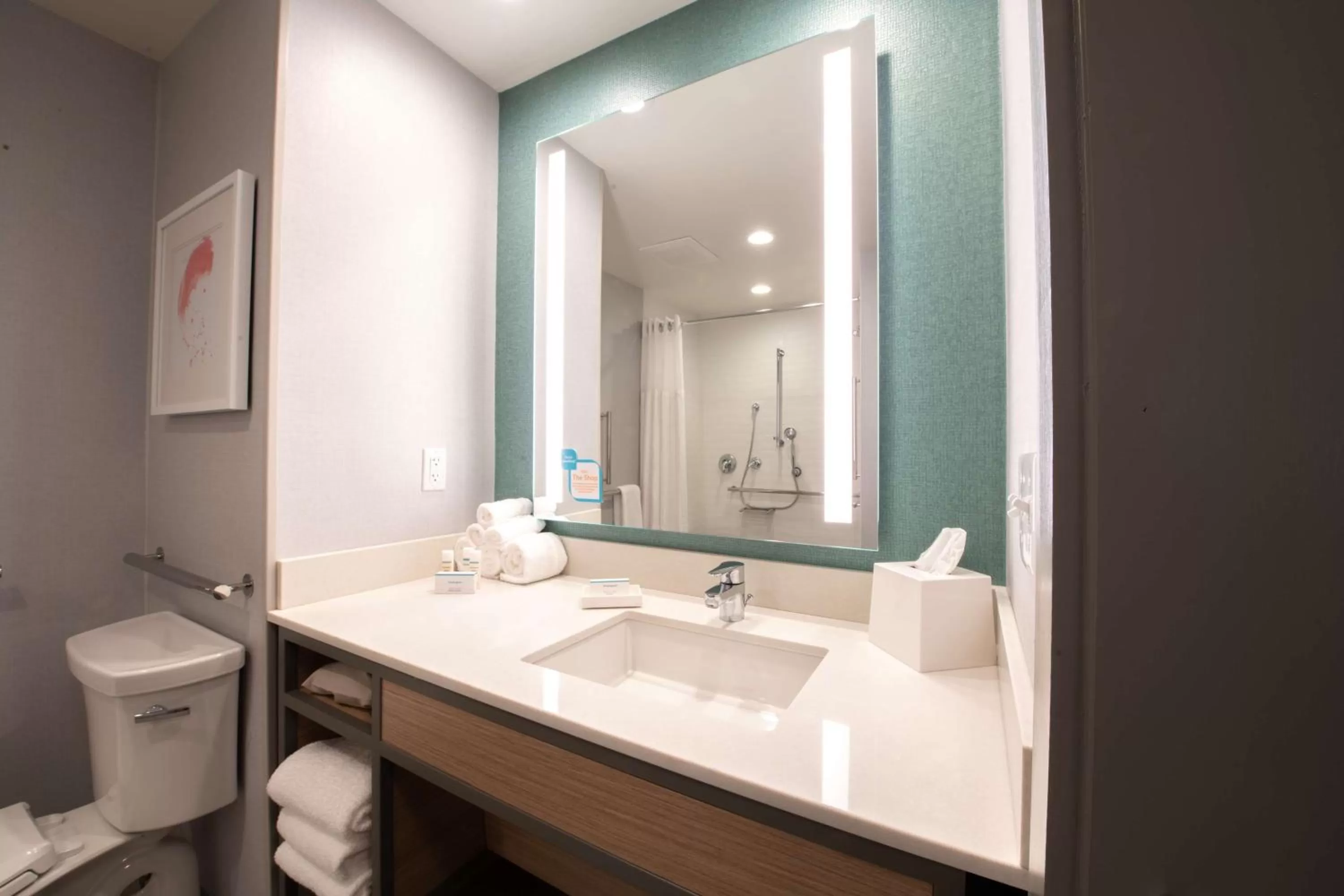 Bathroom in Hilton Garden Inn Asheville South