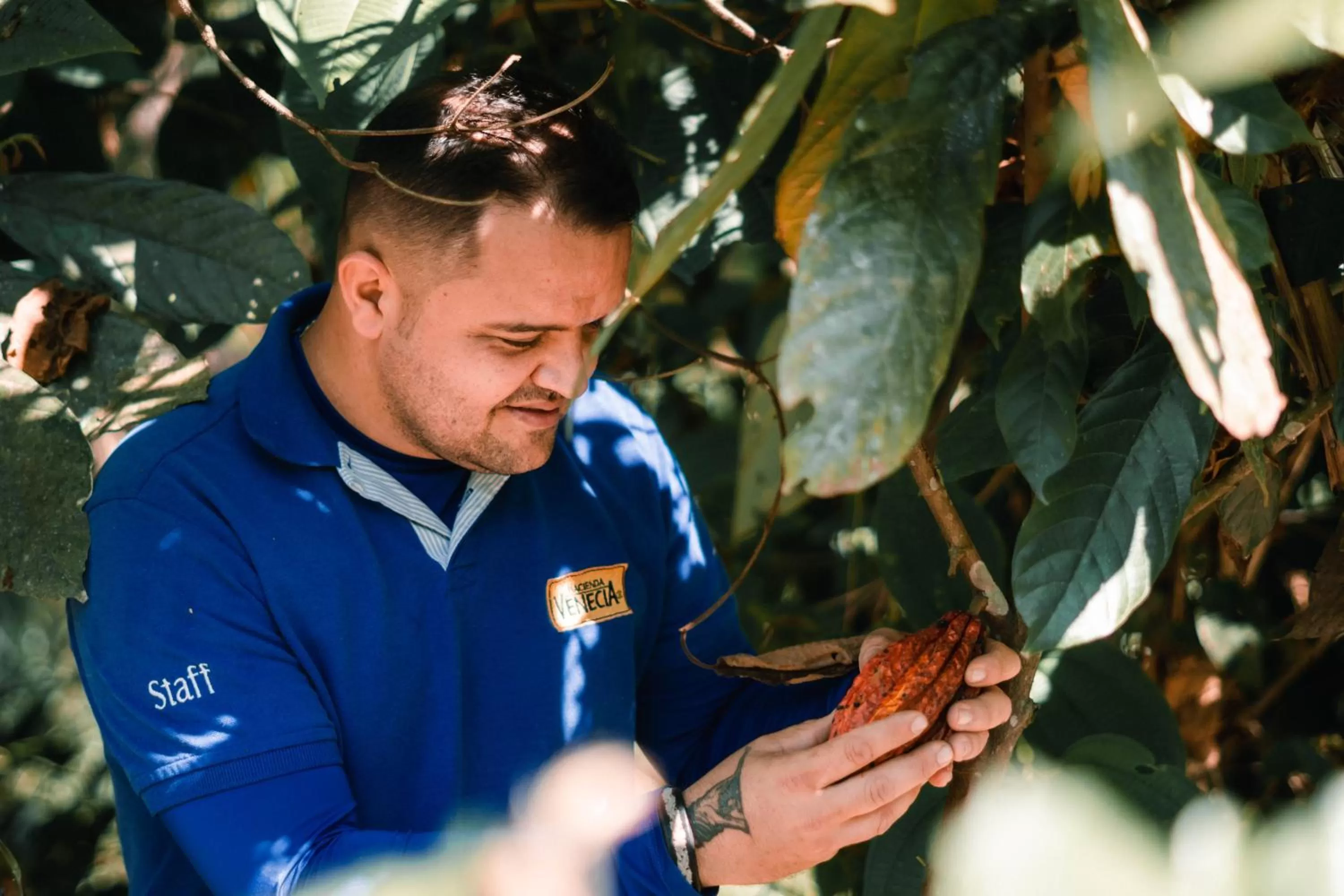 Activities in Hacienda Venecia Coffee Farm Hotel