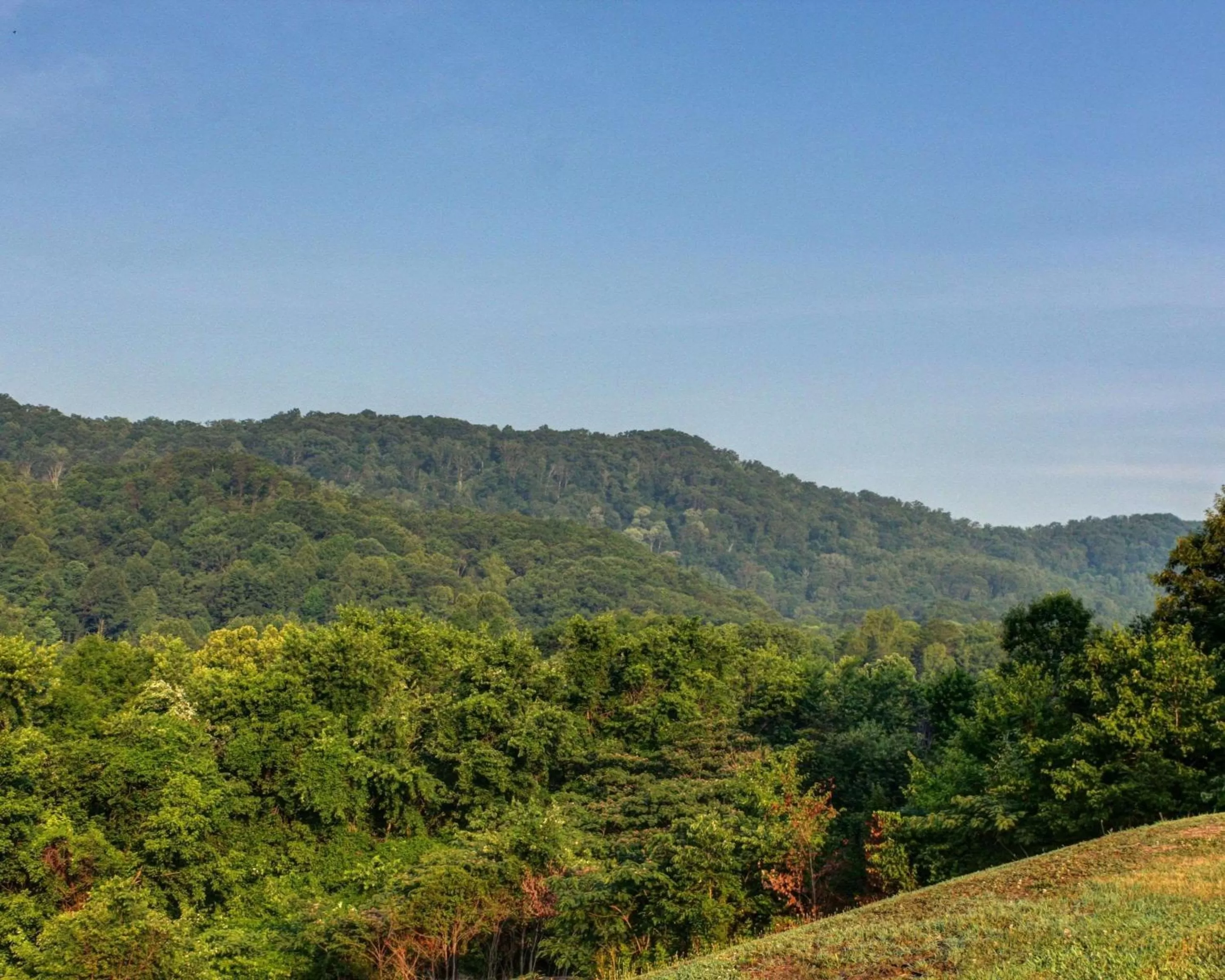 Other in Econo Lodge Rocky Top