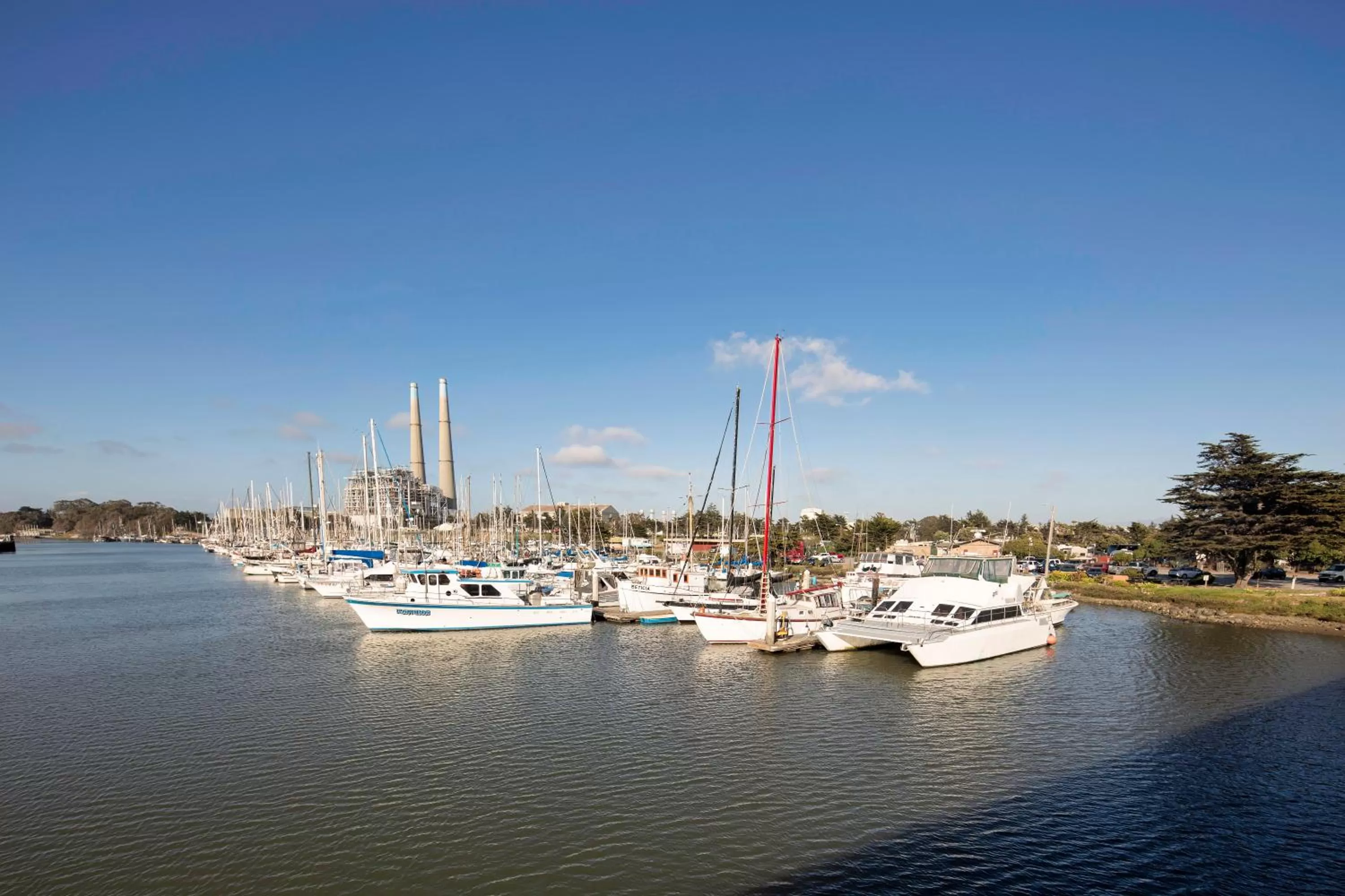 Beach in Inn At Moss Landing Point