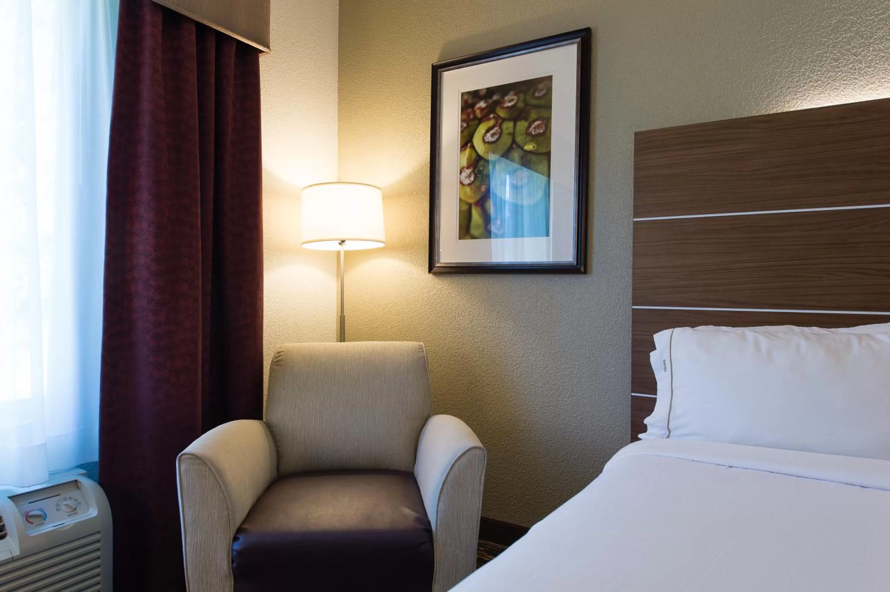 King Room with Bath Tub- Hearing and Disability Accessible/ Non-Smoking in Holiday Inn Express & Suites Walterboro, an IHG Hotel