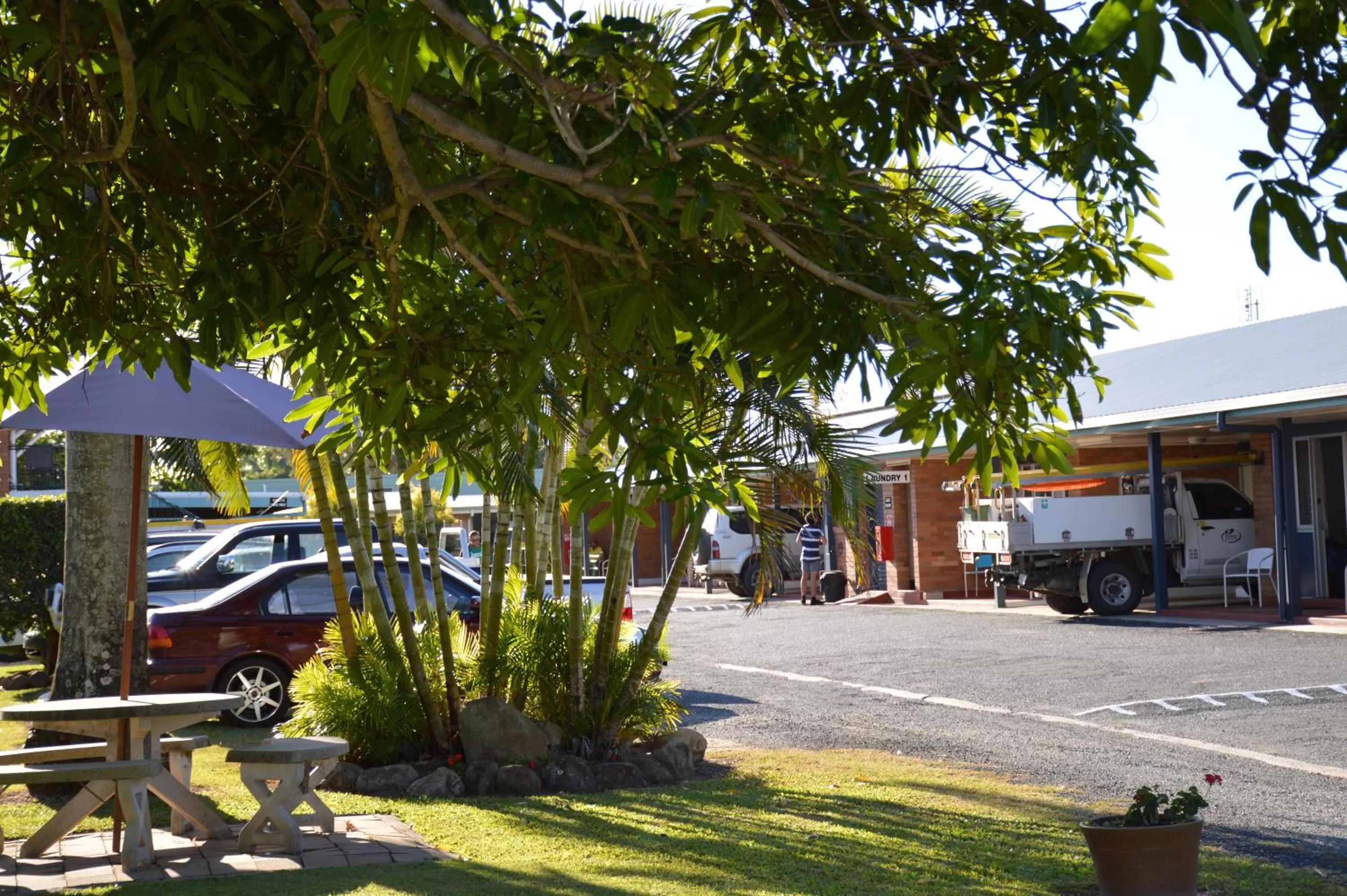 Garden in Mackay Apartments The Rover
