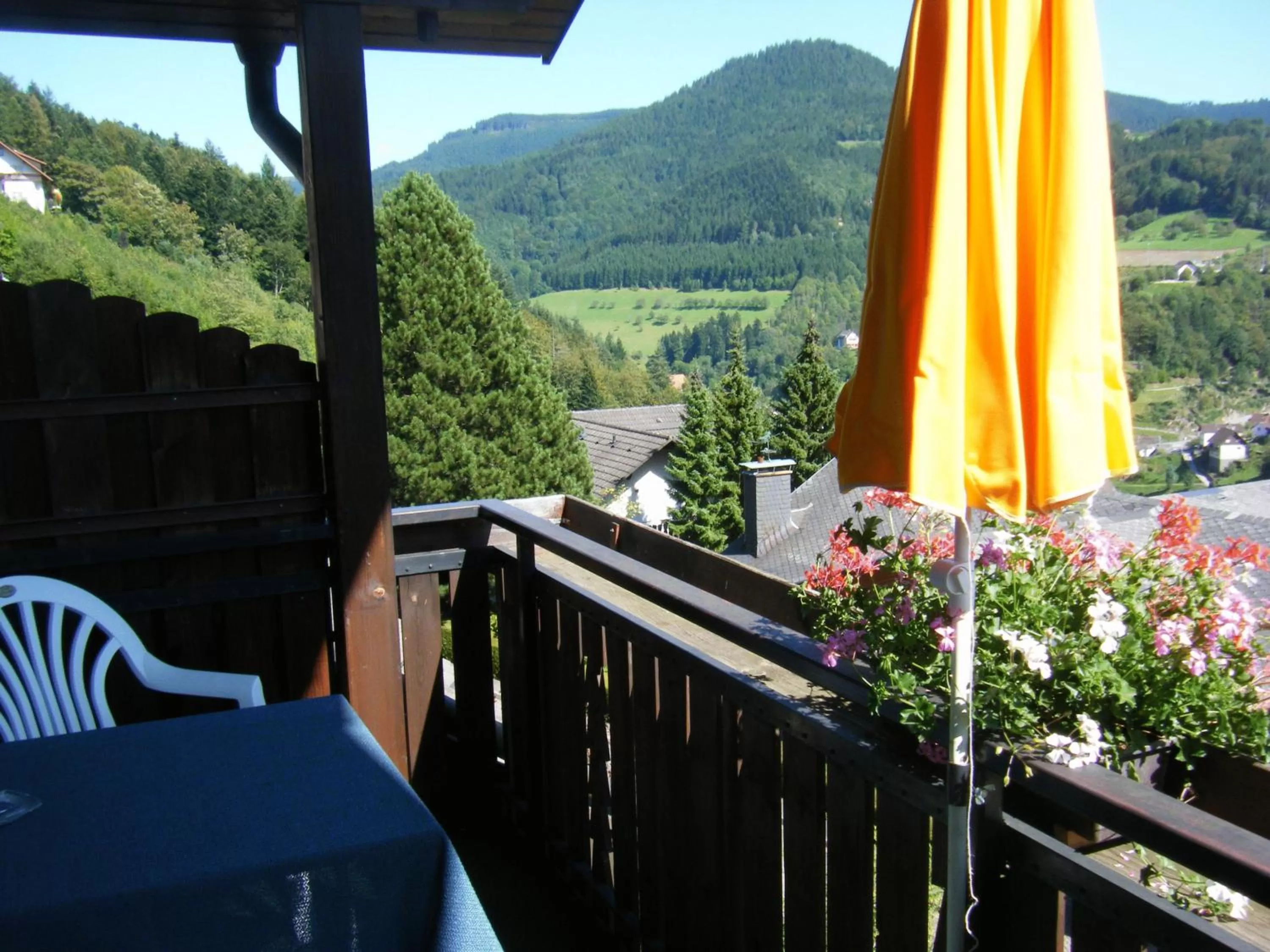 Day, Balcony/Terrace in Hotel Schauinsland