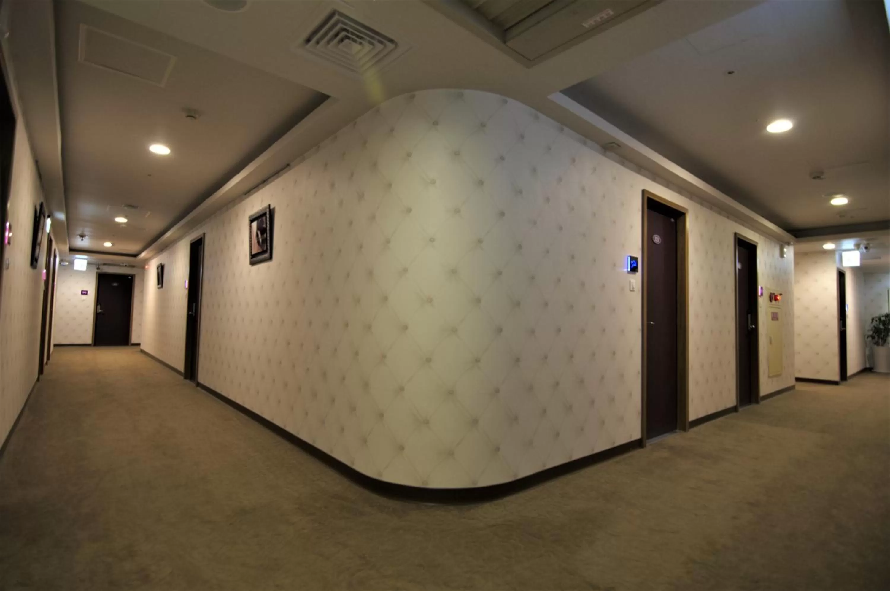 Decorative detail in 泊居旅店 Oursinn Hotel