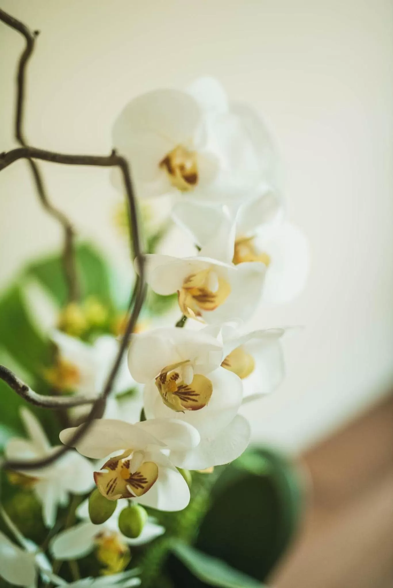 Food in Little House